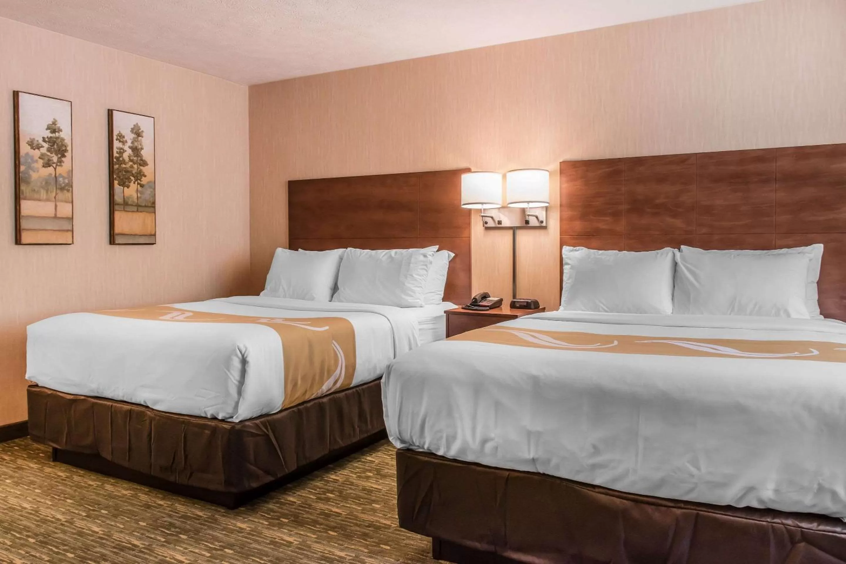 Photo of the whole room, Bed in Quality Inn