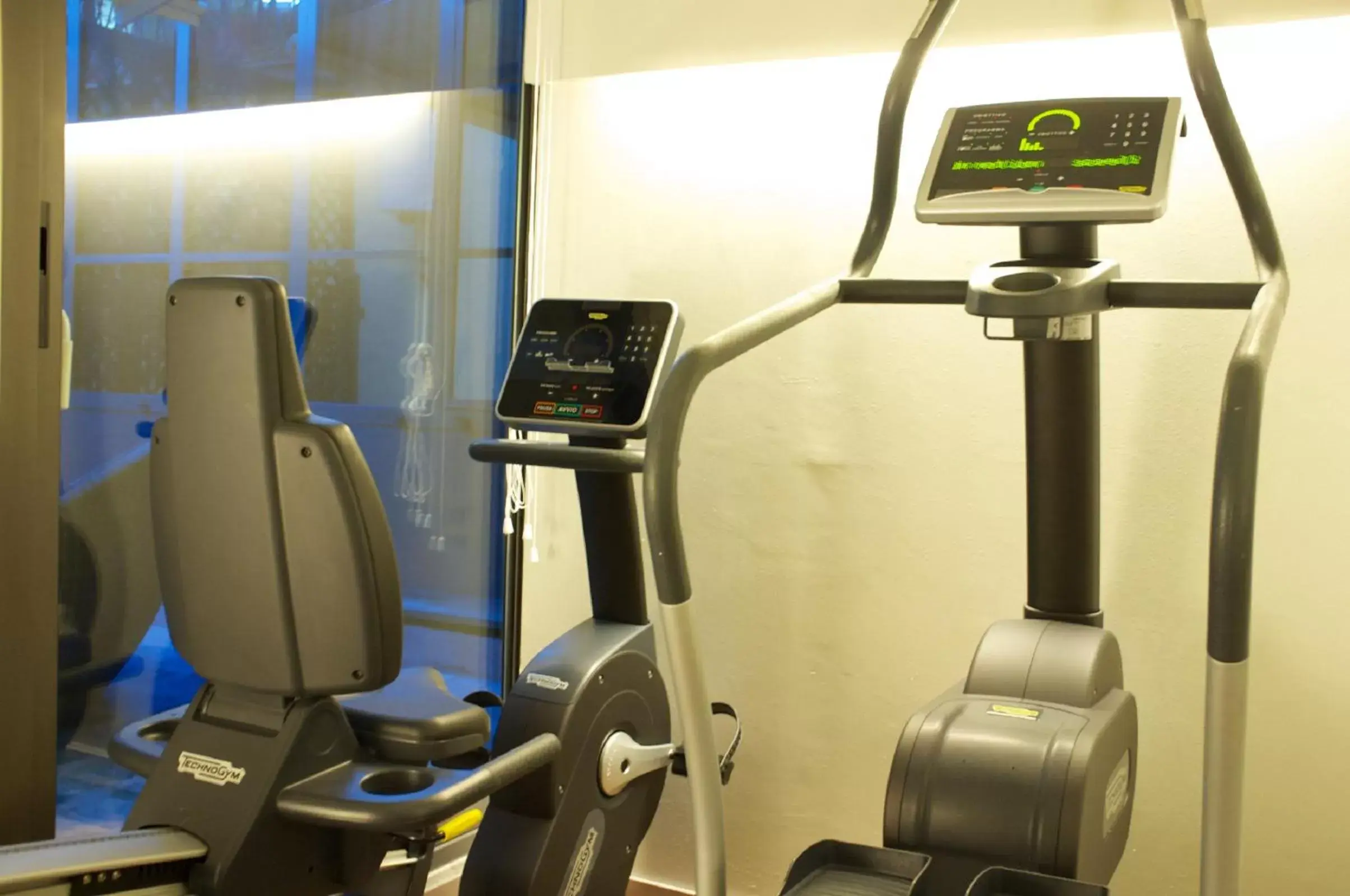 Fitness centre/facilities, Fitness Center/Facilities in Piazza Farnese Luxury Suites