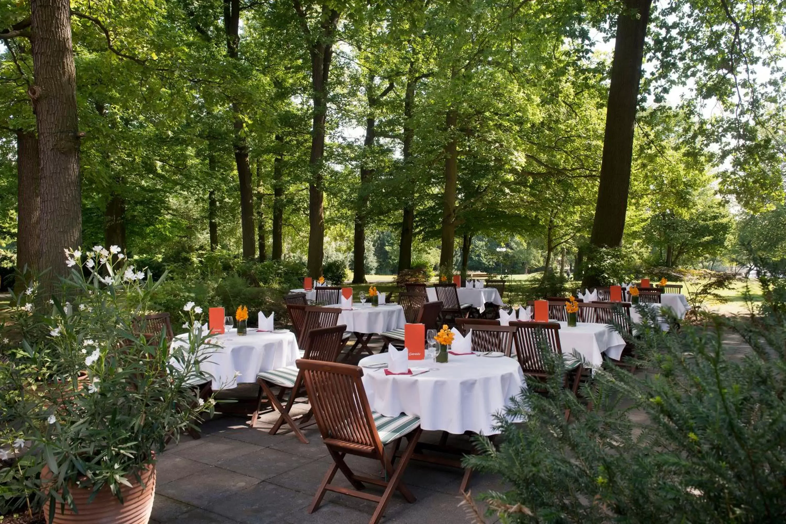 Garden, Restaurant/Places to Eat in Wyndham Garden Lahnstein Koblenz