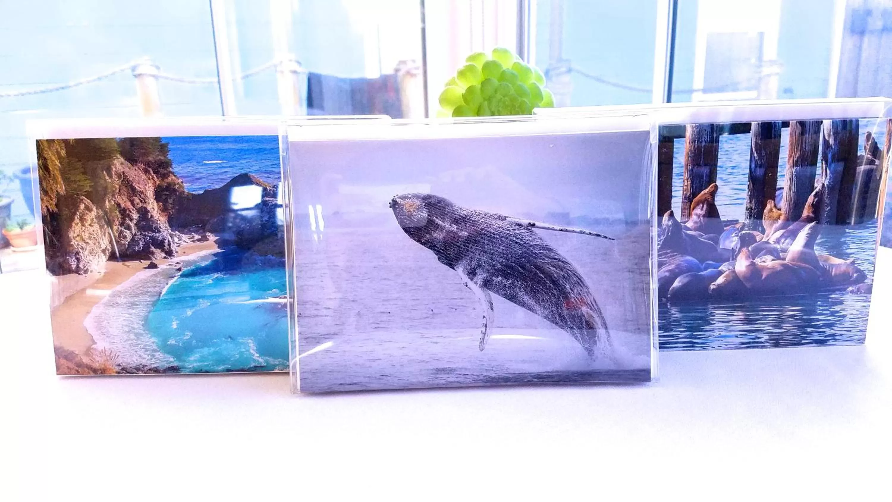 Day in Captain's Inn at Moss Landing