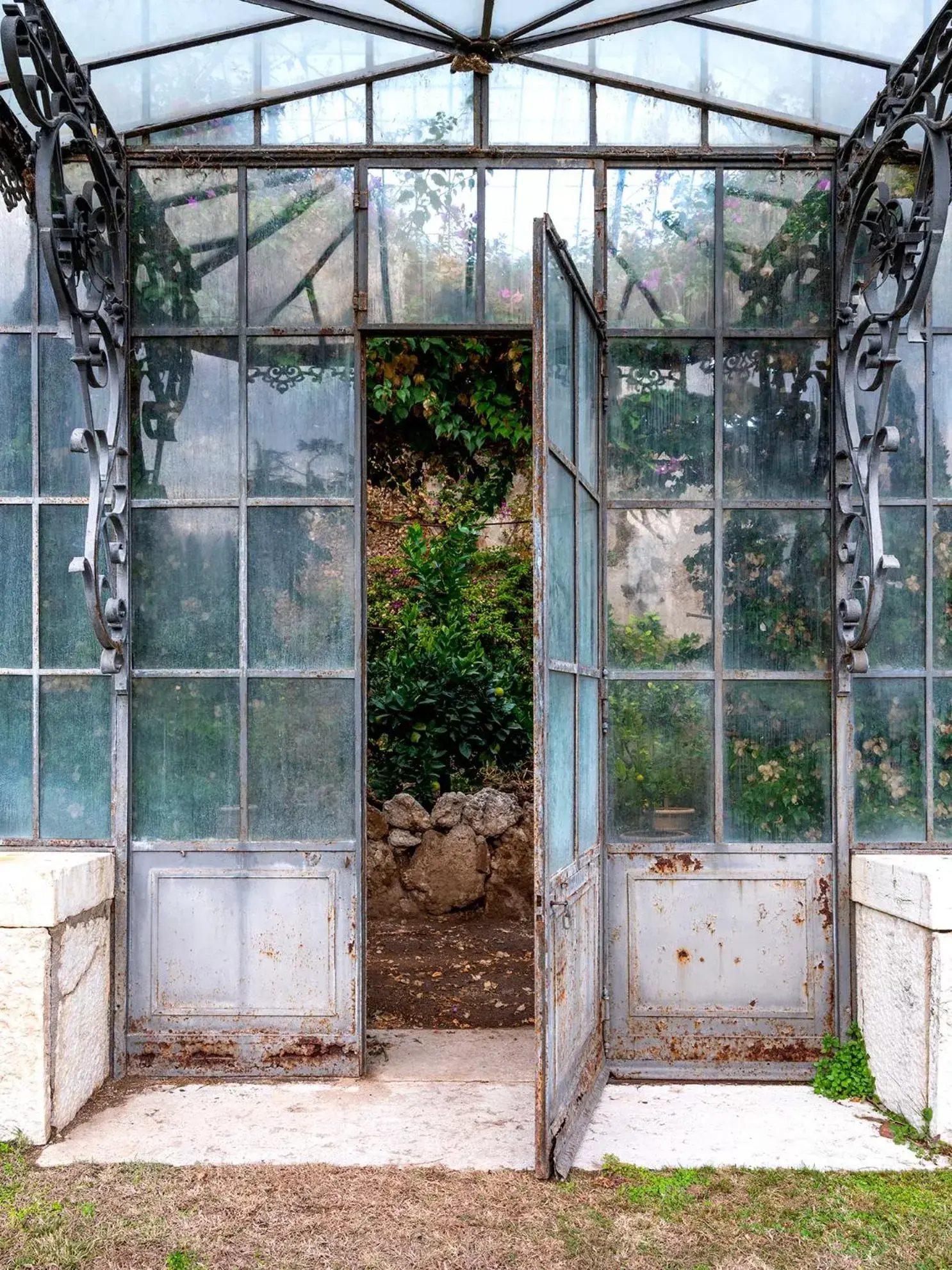 Garden in Parco Termale di Villa Dei Cedri