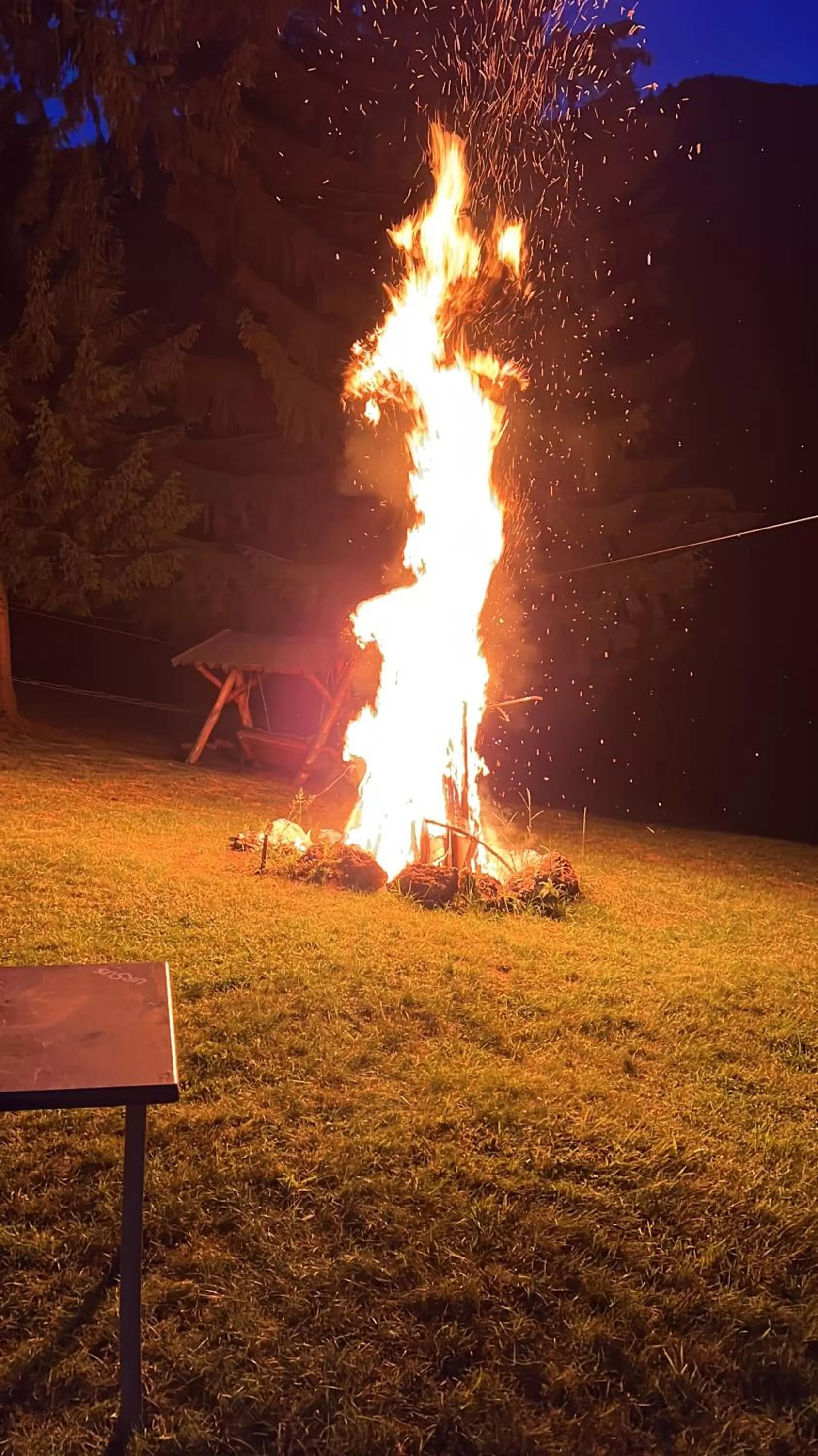 Natural landscape in Hotel Casa Viorel jacuzzi & saunas