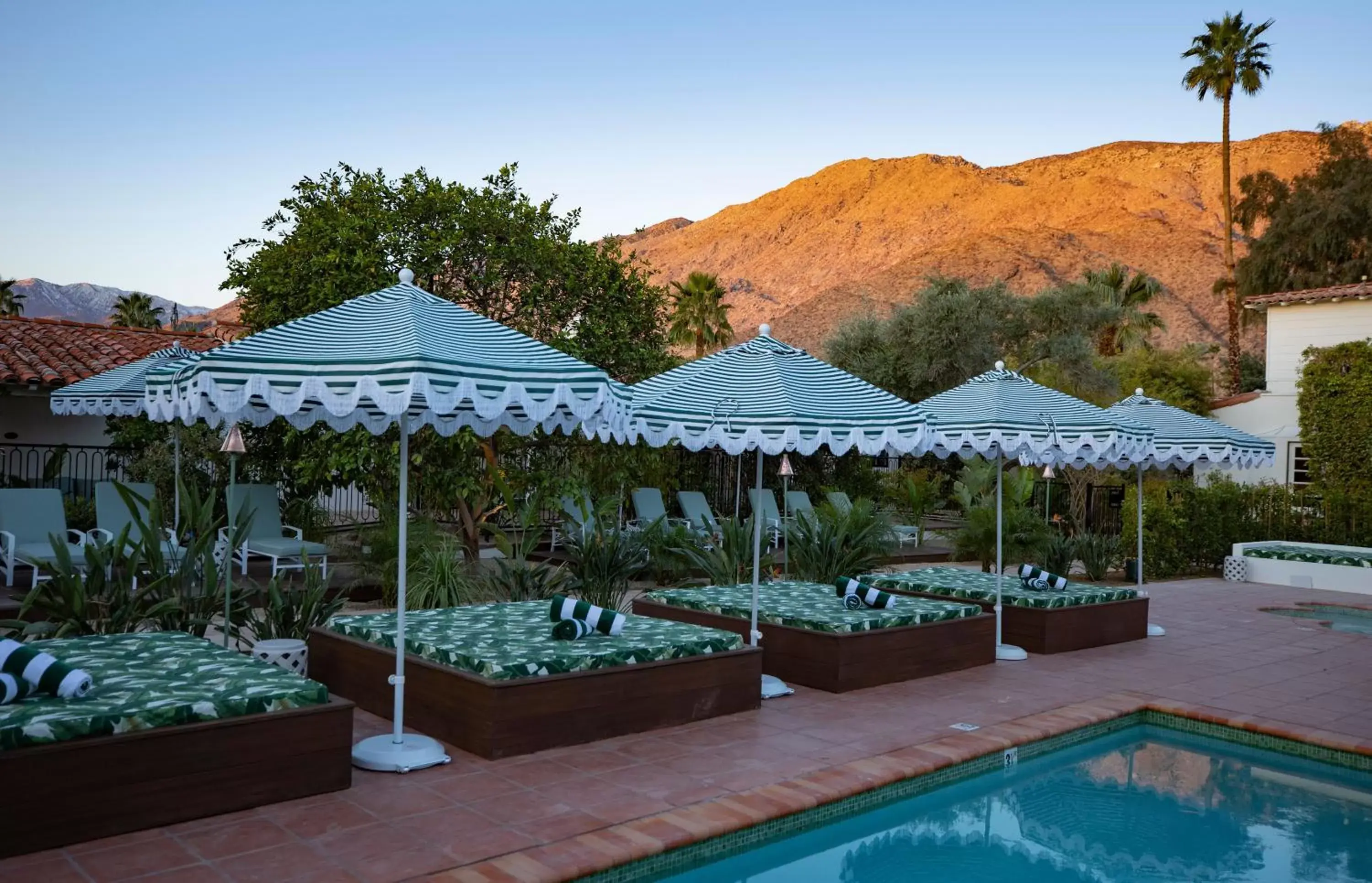 Swimming Pool in The Colony Palms Hotel and Bungalows - Adults Only