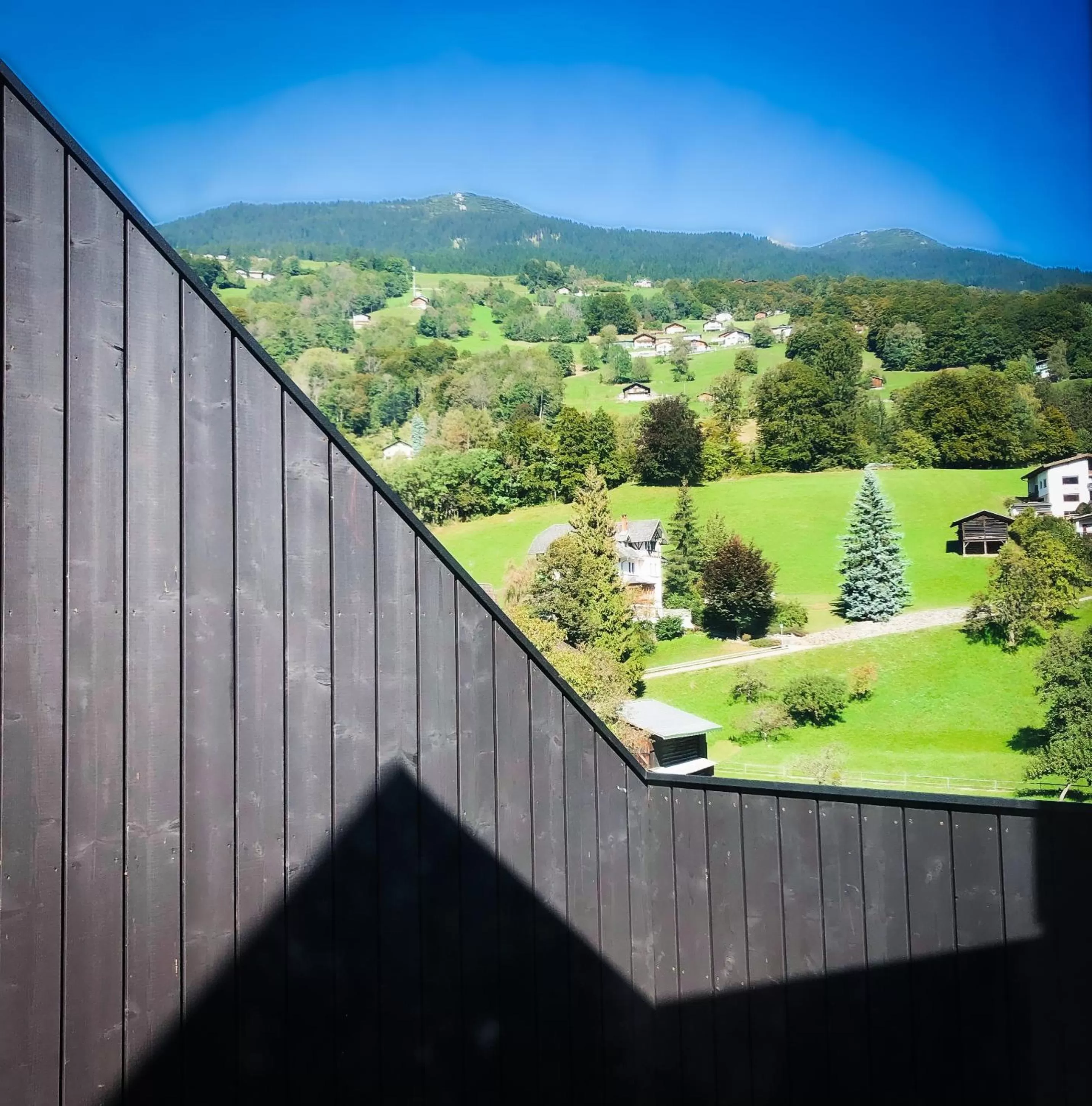 View (from property/room) in PURE Resort Schruns