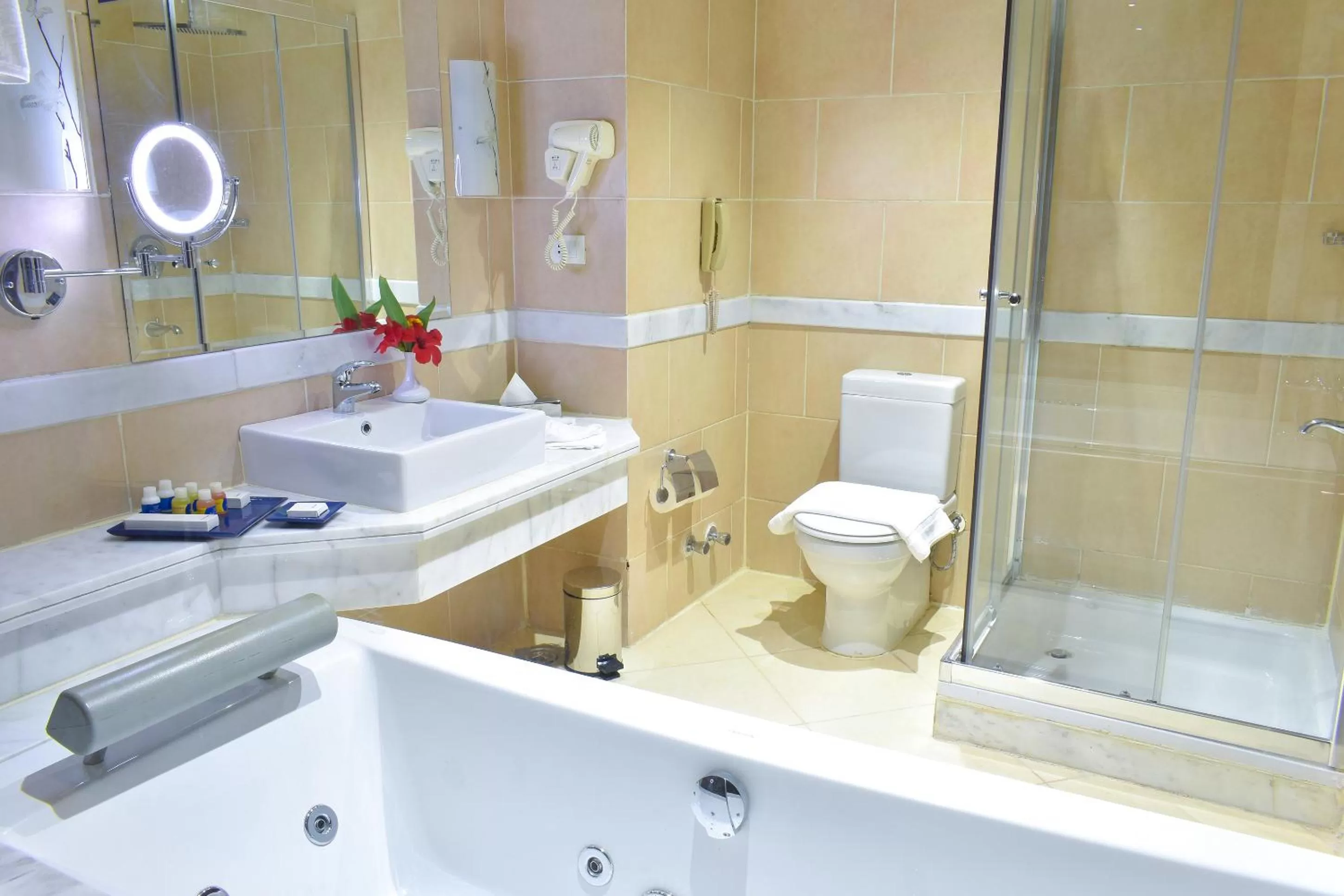 Bathroom in Parrotel Lagoon Waterpark Resort