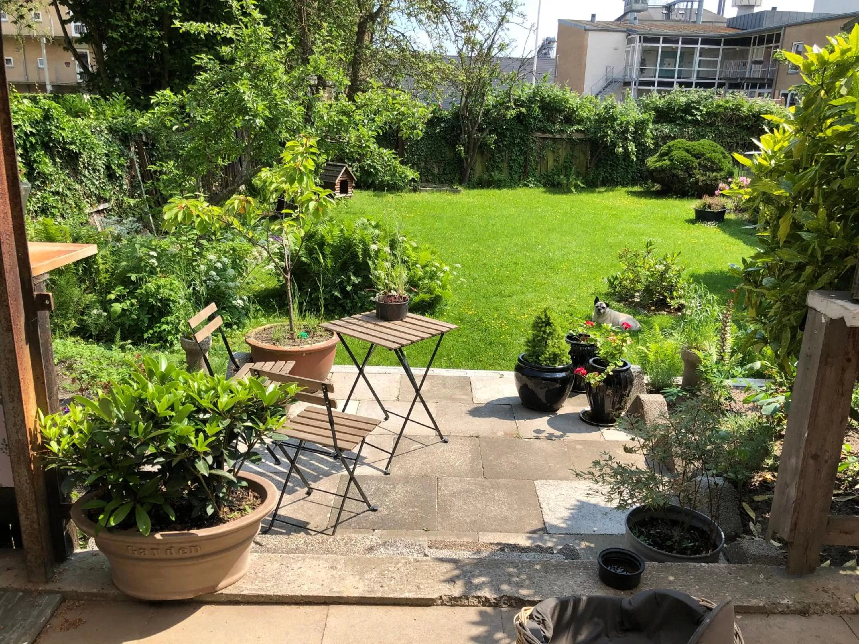 Davaa's Bed & Breakfast