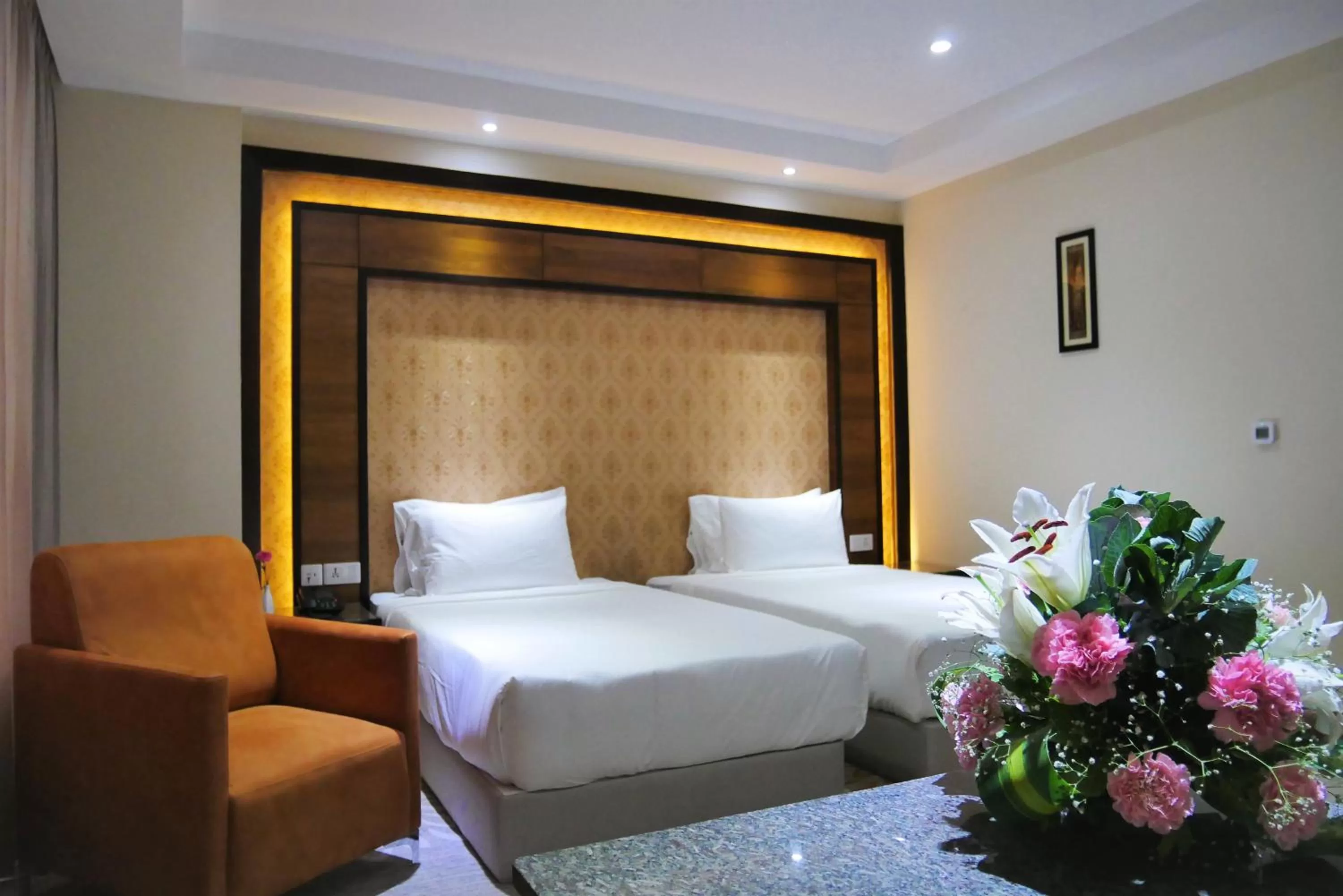 Executive Twin Room - single occupancy in Hotel Hills