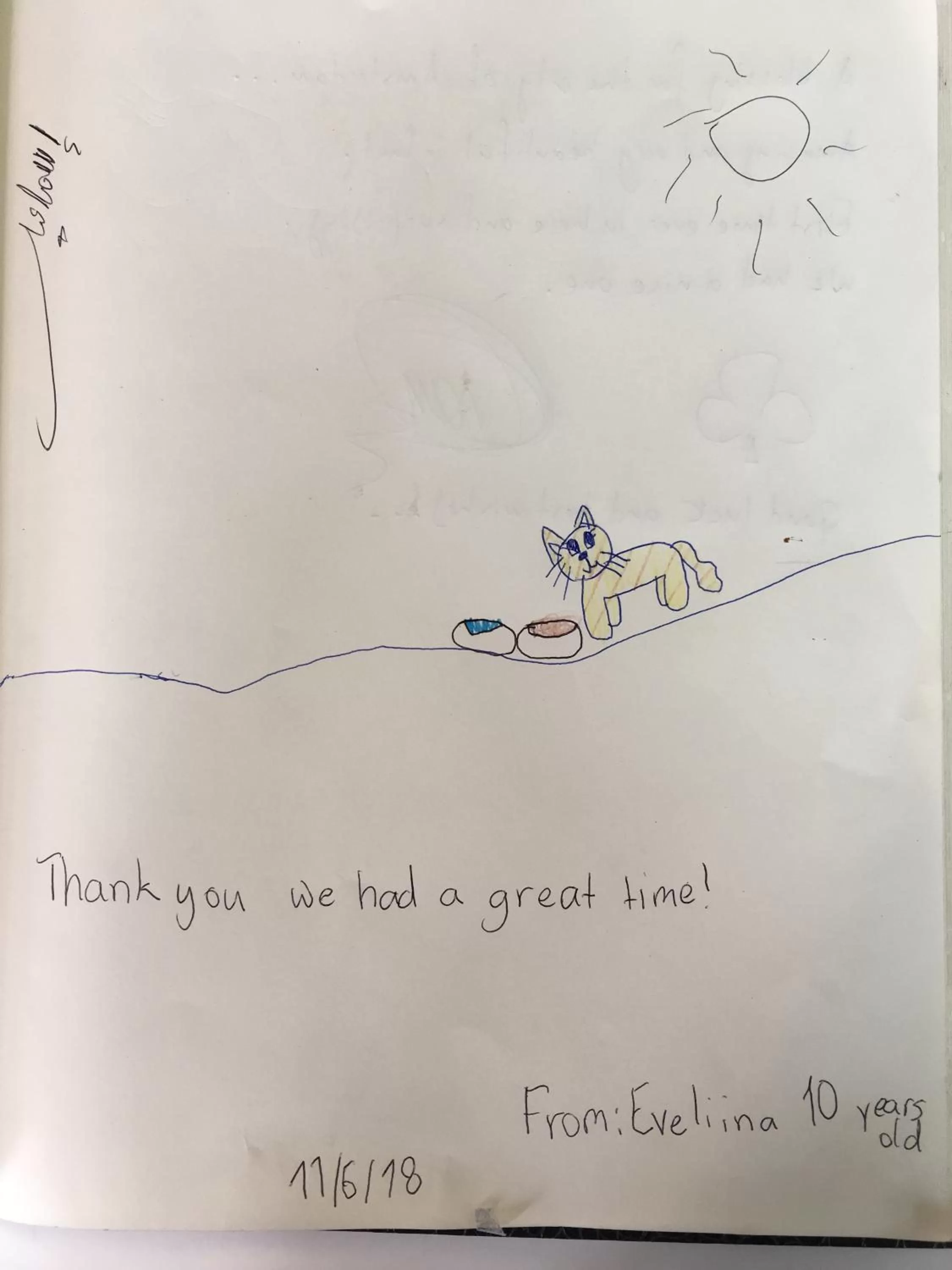 Animals in Hotel Mosaic City Centre