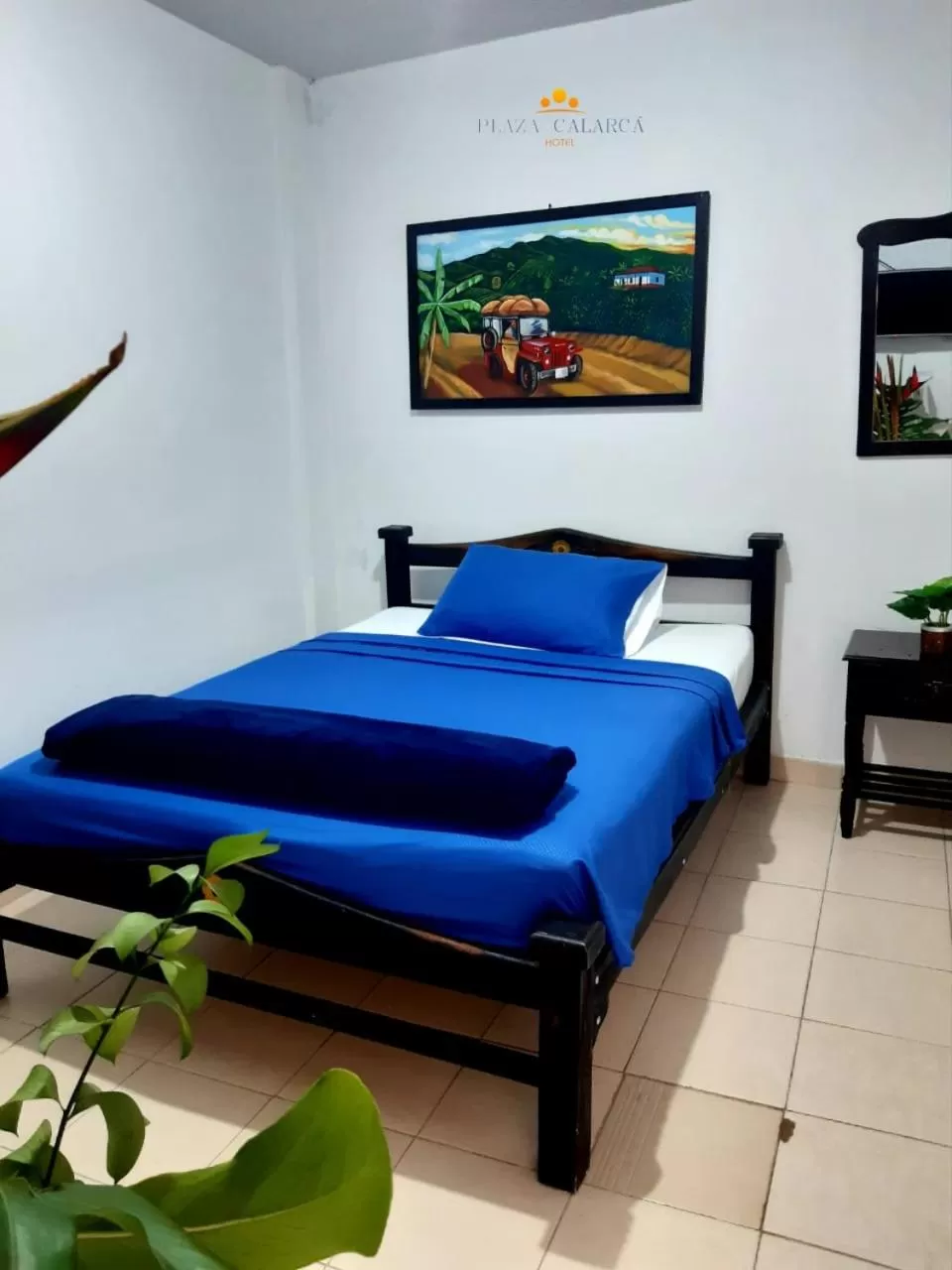 Hotel Plaza Calarcá