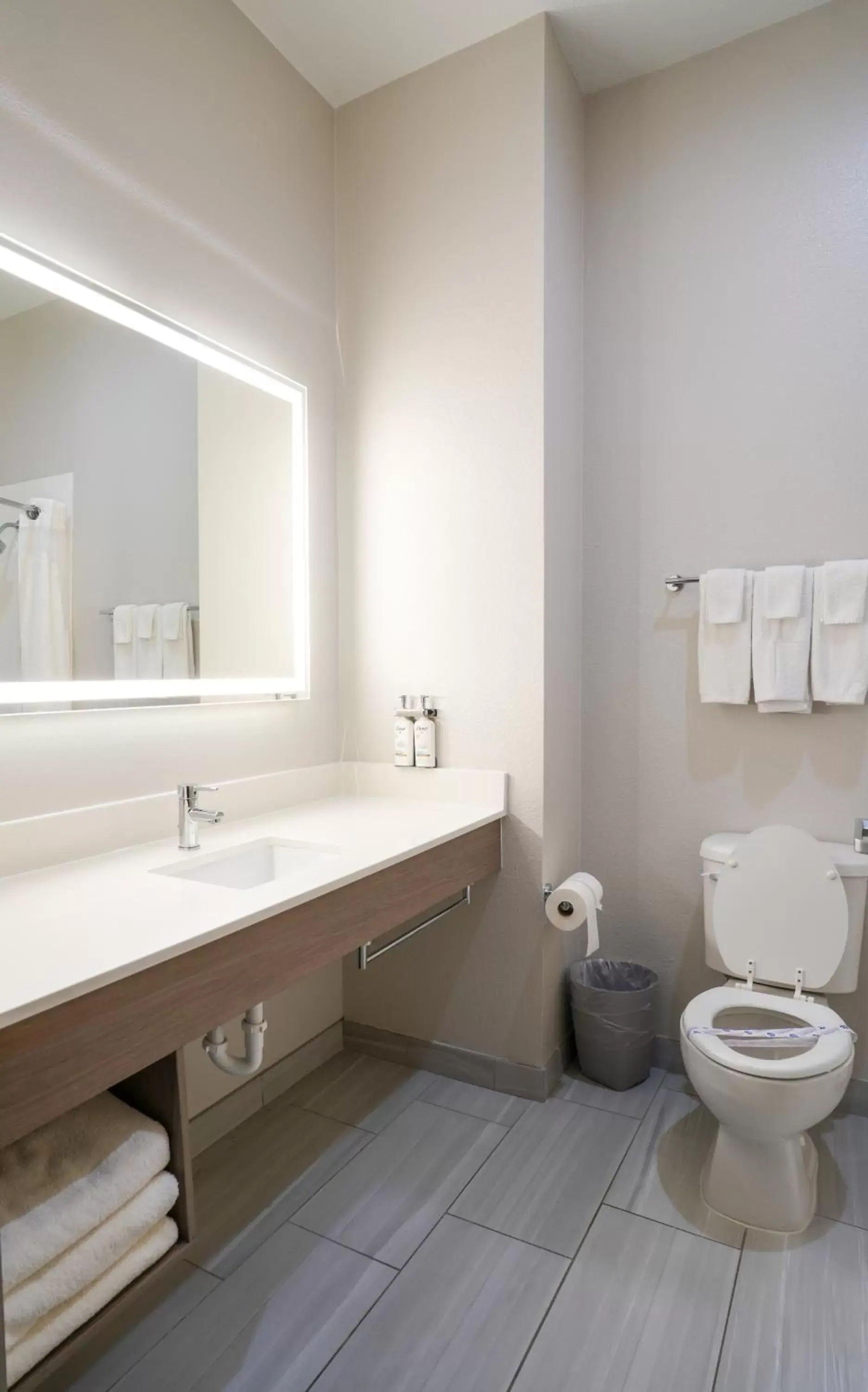 Bathroom in Holiday Inn Express Hotel & Suites Cedar Hill, an IHG Hotel