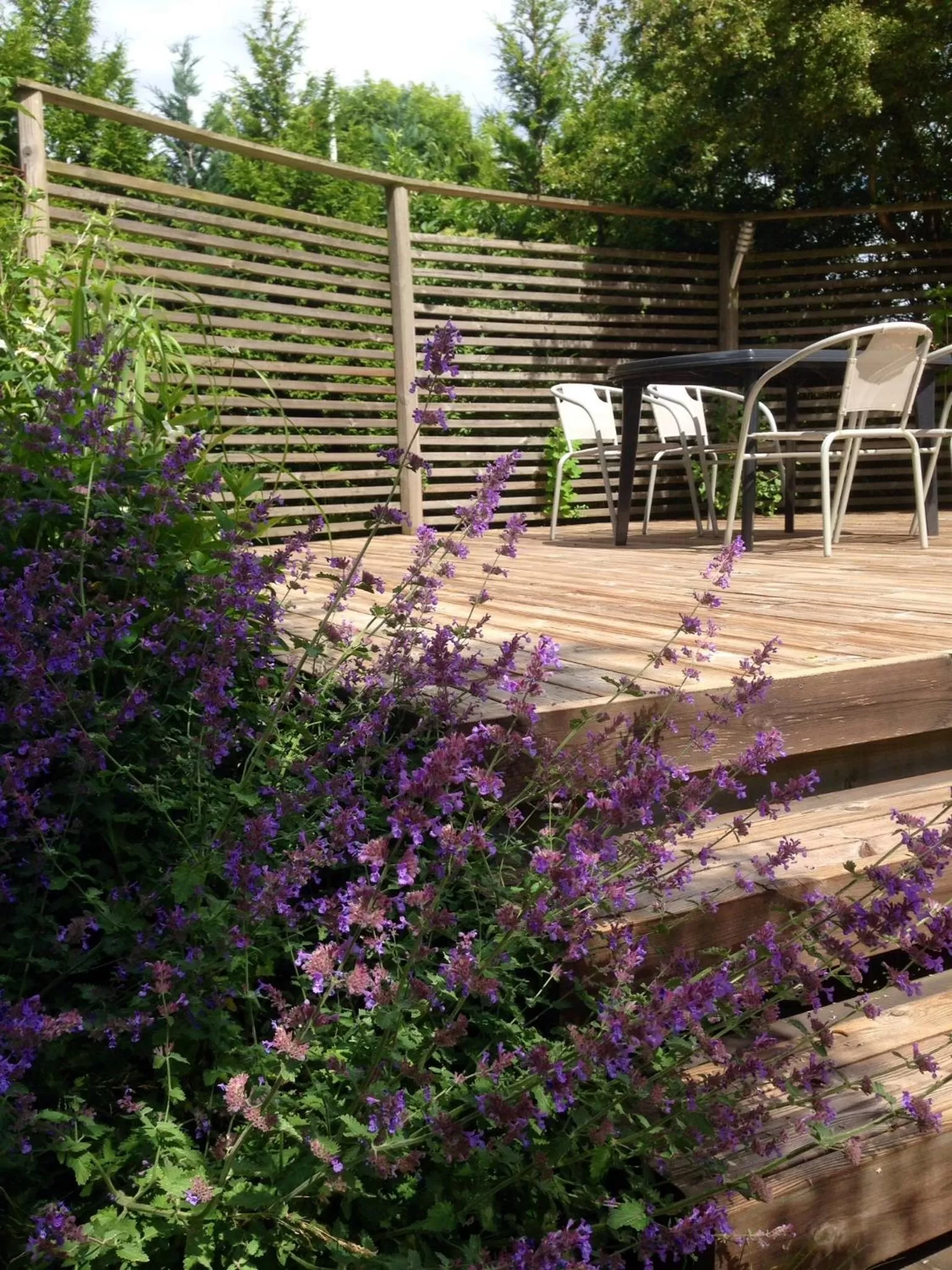 Day in Aurora Bed & Breakfast