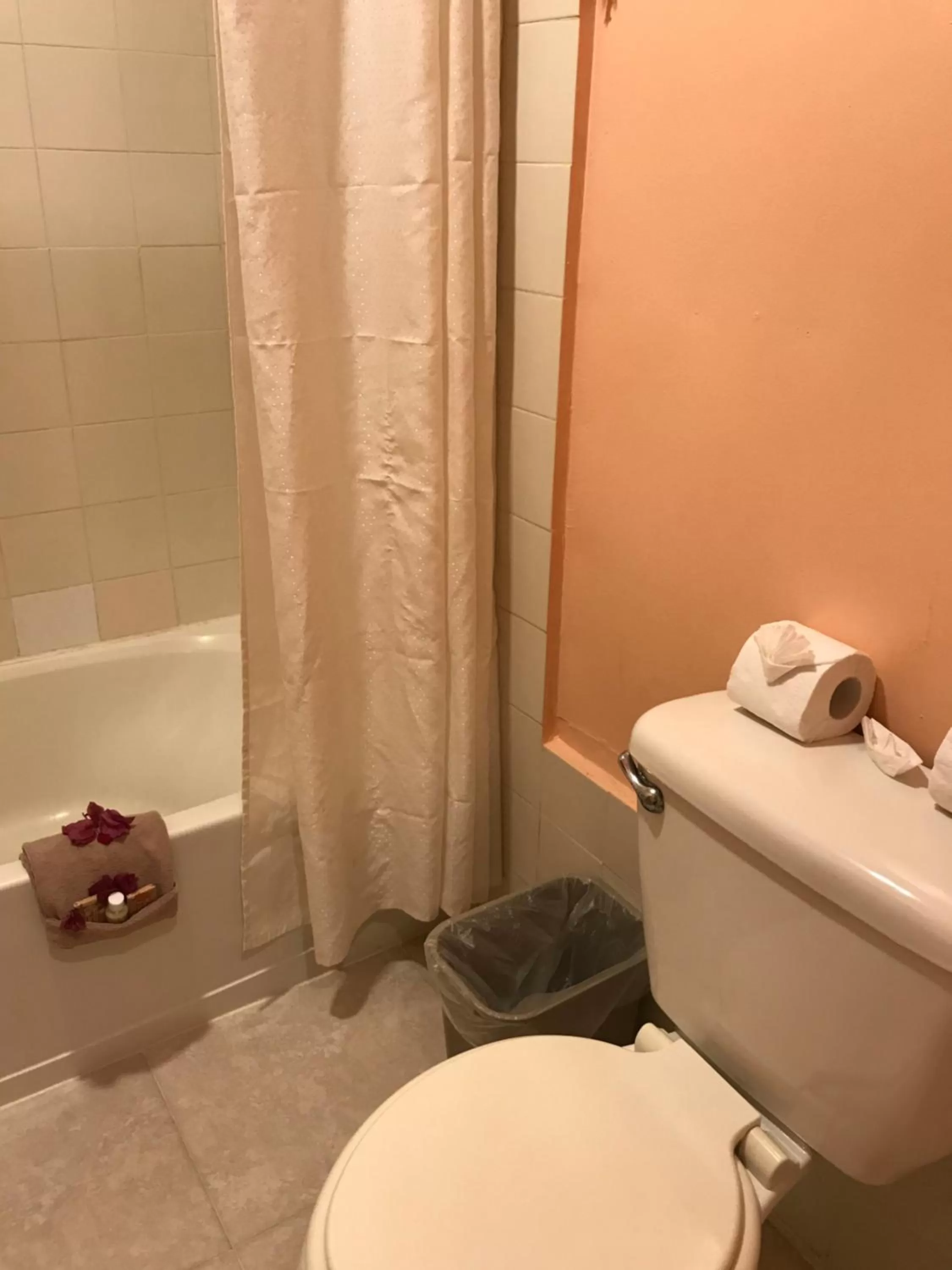 Toilet in Tropical Paradise Express