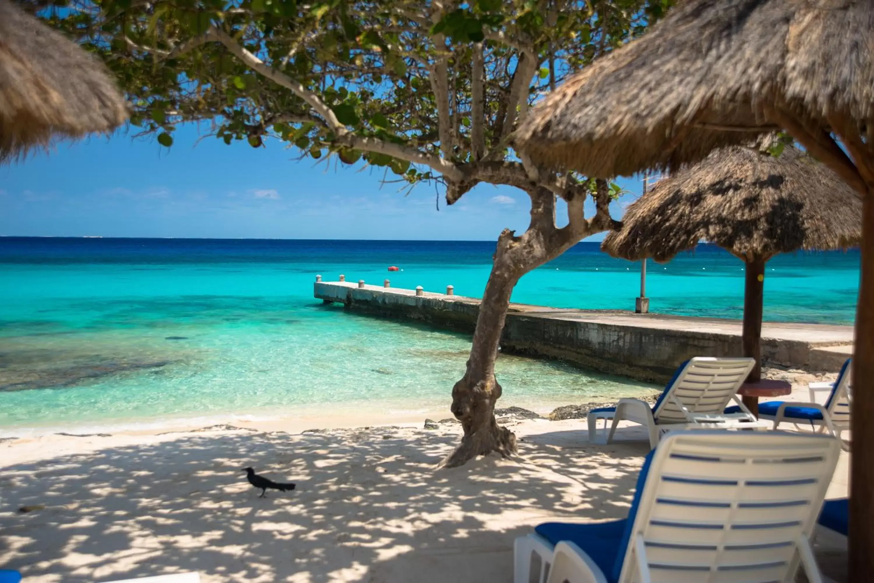 Beach in Playa Azul Cozumel