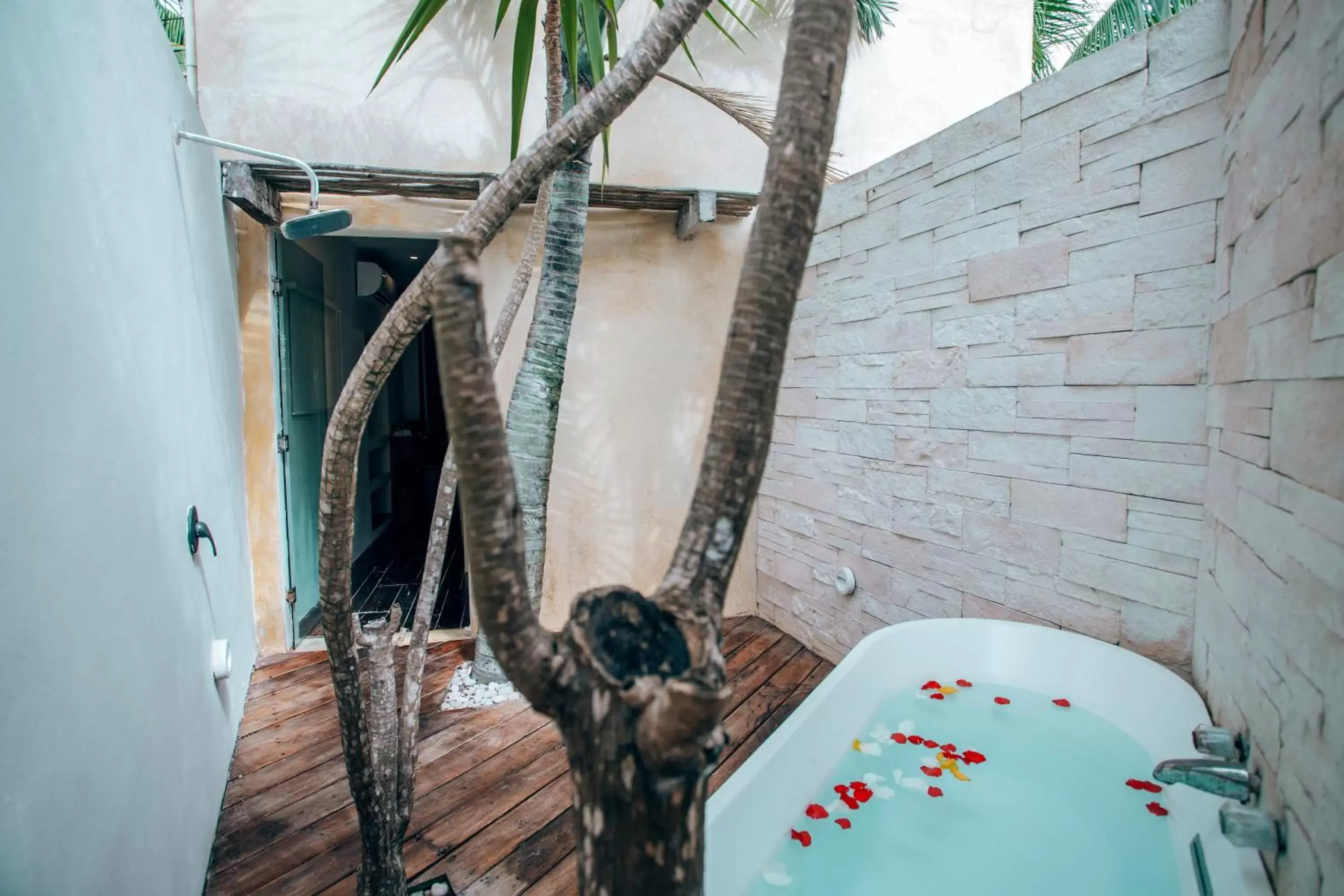 Bathroom in Orchid Beach House Adults Only