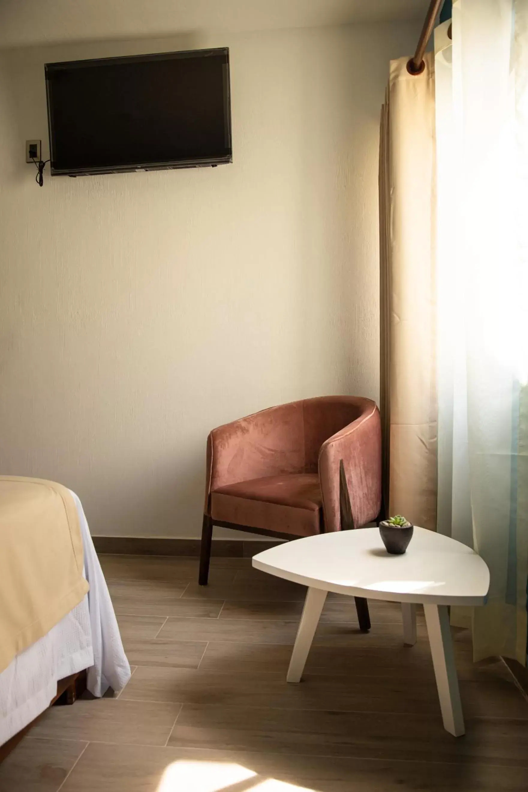 Seating Area in Hotel Casa Jima Agave