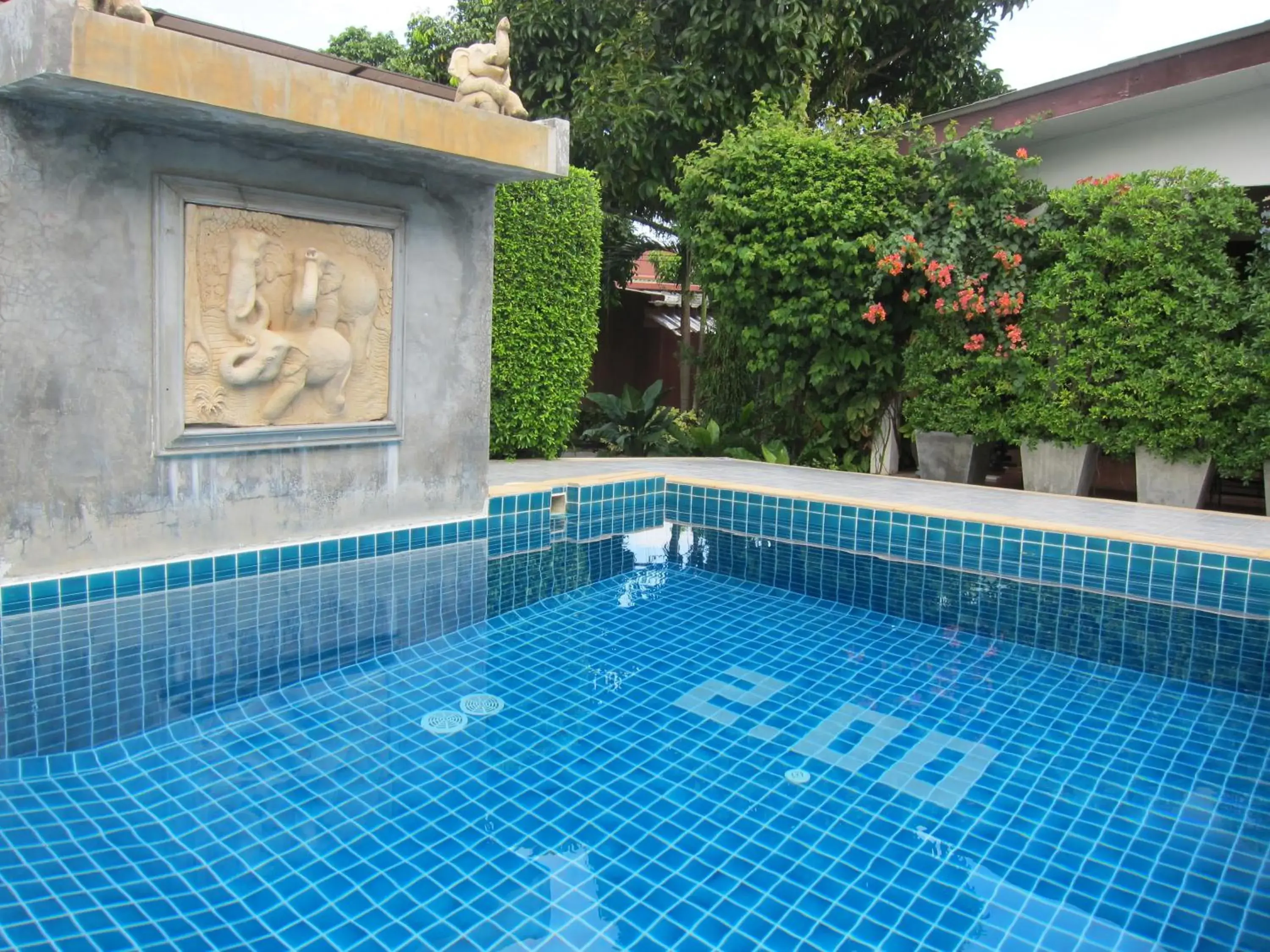 Swimming pool in Forest Bungalows & Mama's Restaurant Swimming pool in Forest Bungalows & Mama's Restaurant