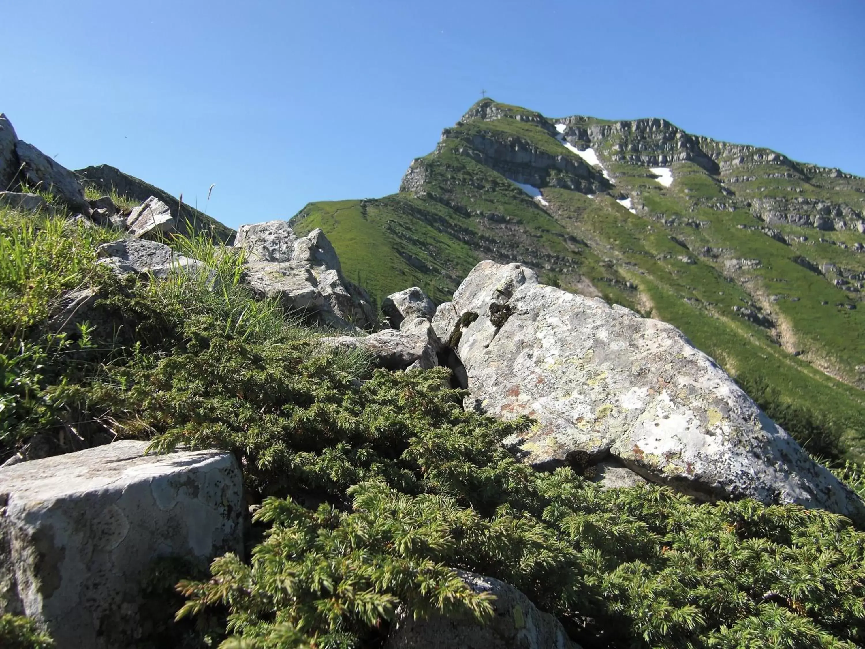 Area and facilities, Natural Landscape in Piccolo Hotel