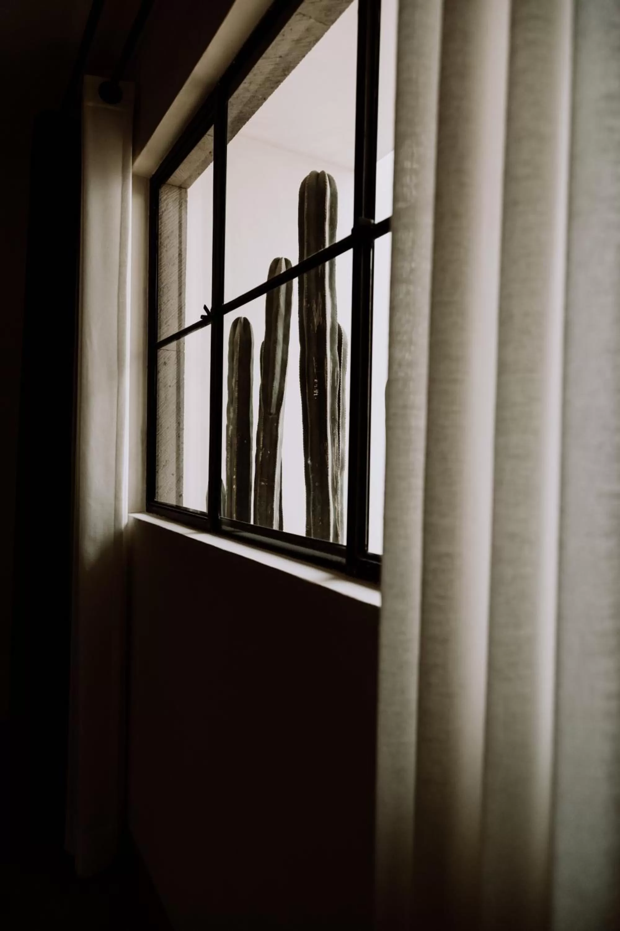 View (from property/room) in Hotel Amatte San Miguel de Allende