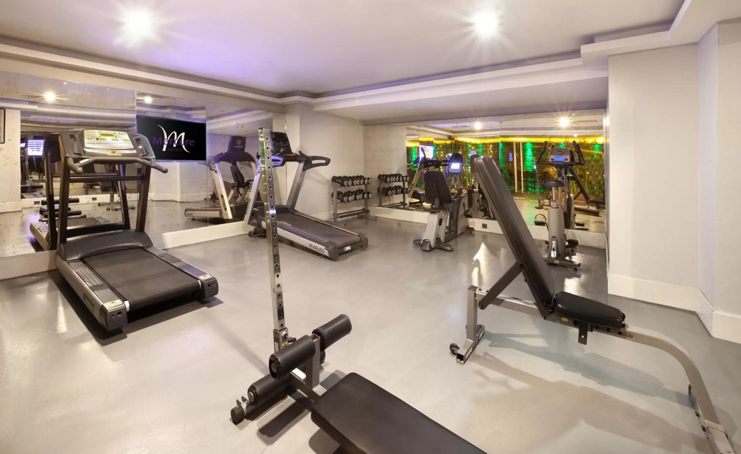 Fitness centre/facilities, Fitness Center/Facilities in Mercure Istanbul Bomonti
