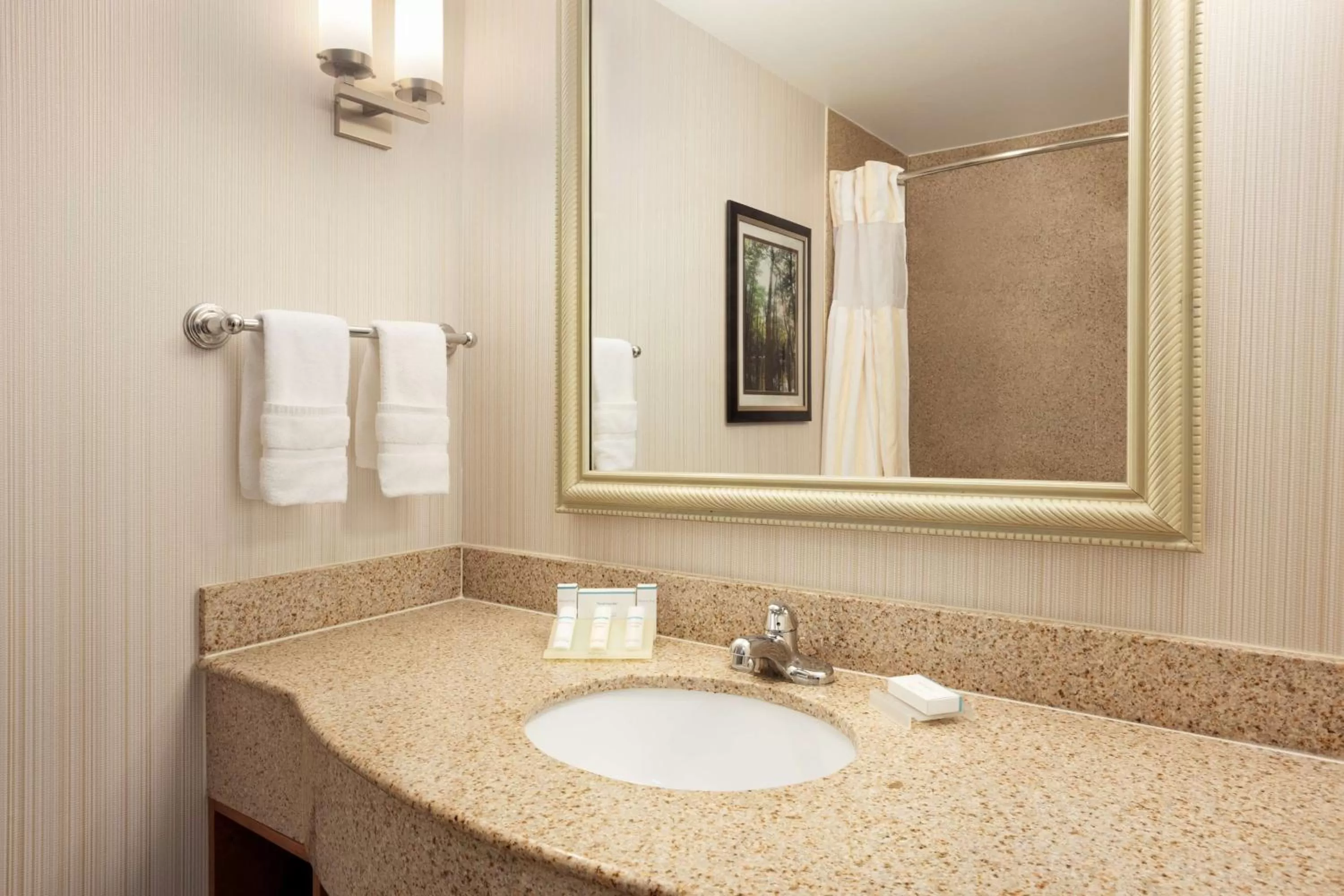 Bathroom in Hilton Garden Inn West Monroe