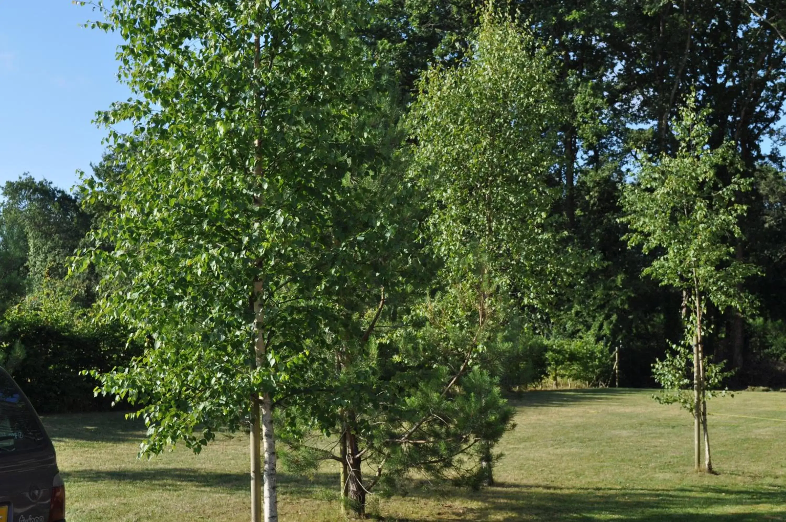 Garden in The Originals City, Hôtel Anaïade, Saint-Nazaire (Inter-Hotel)