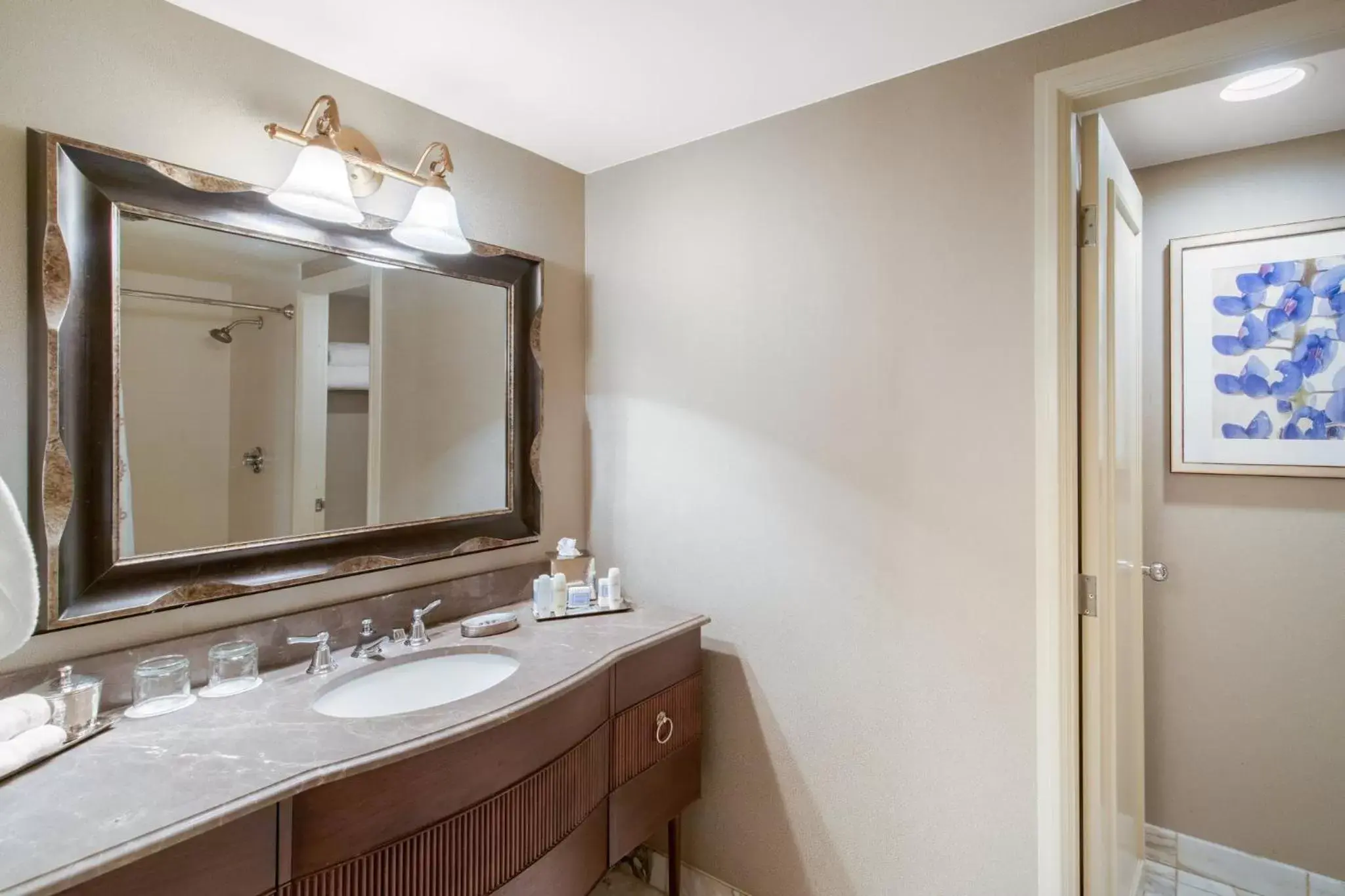 Bathroom in Omni Las Colinas Hotel