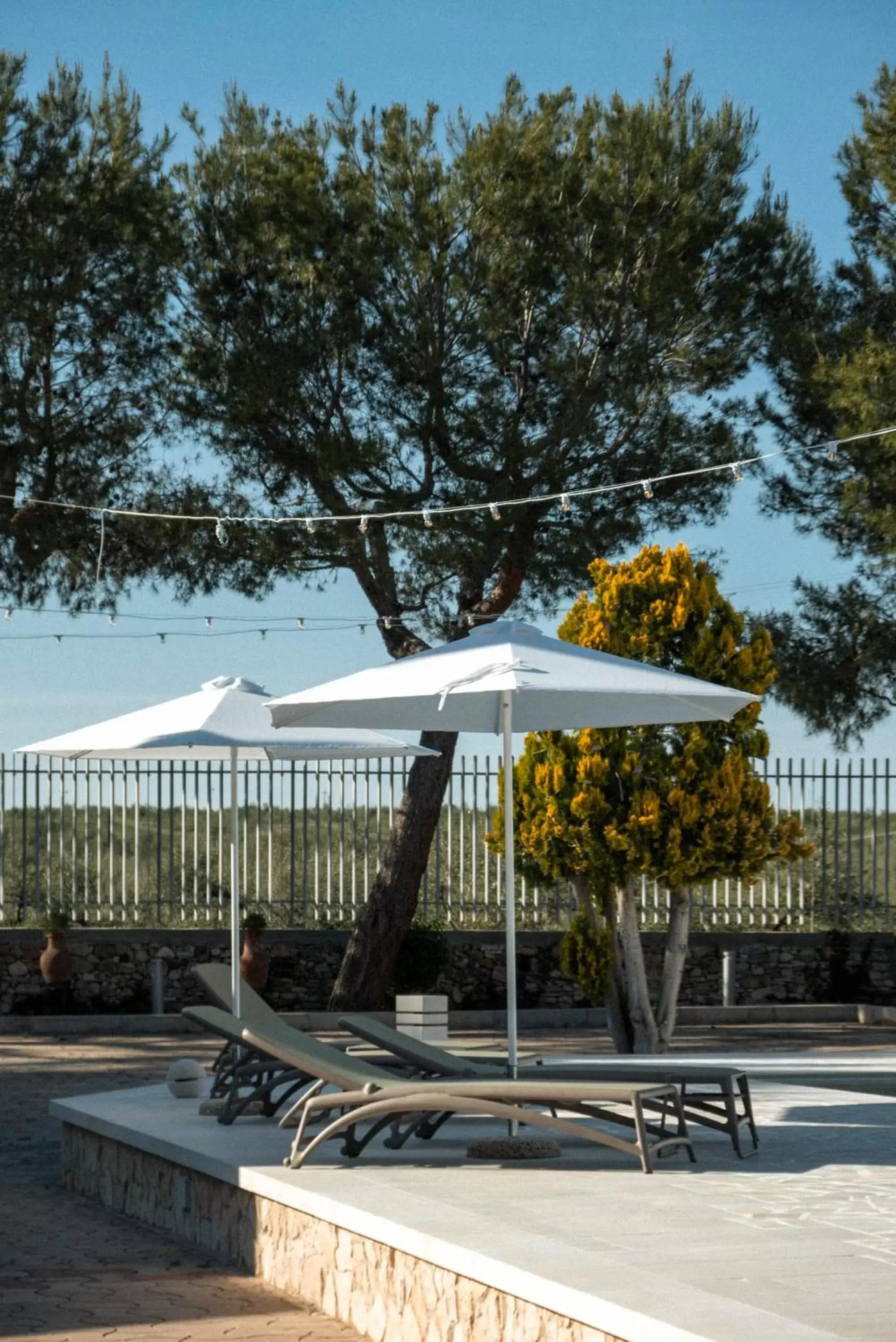 Swimming Pool in Otto Apulia House