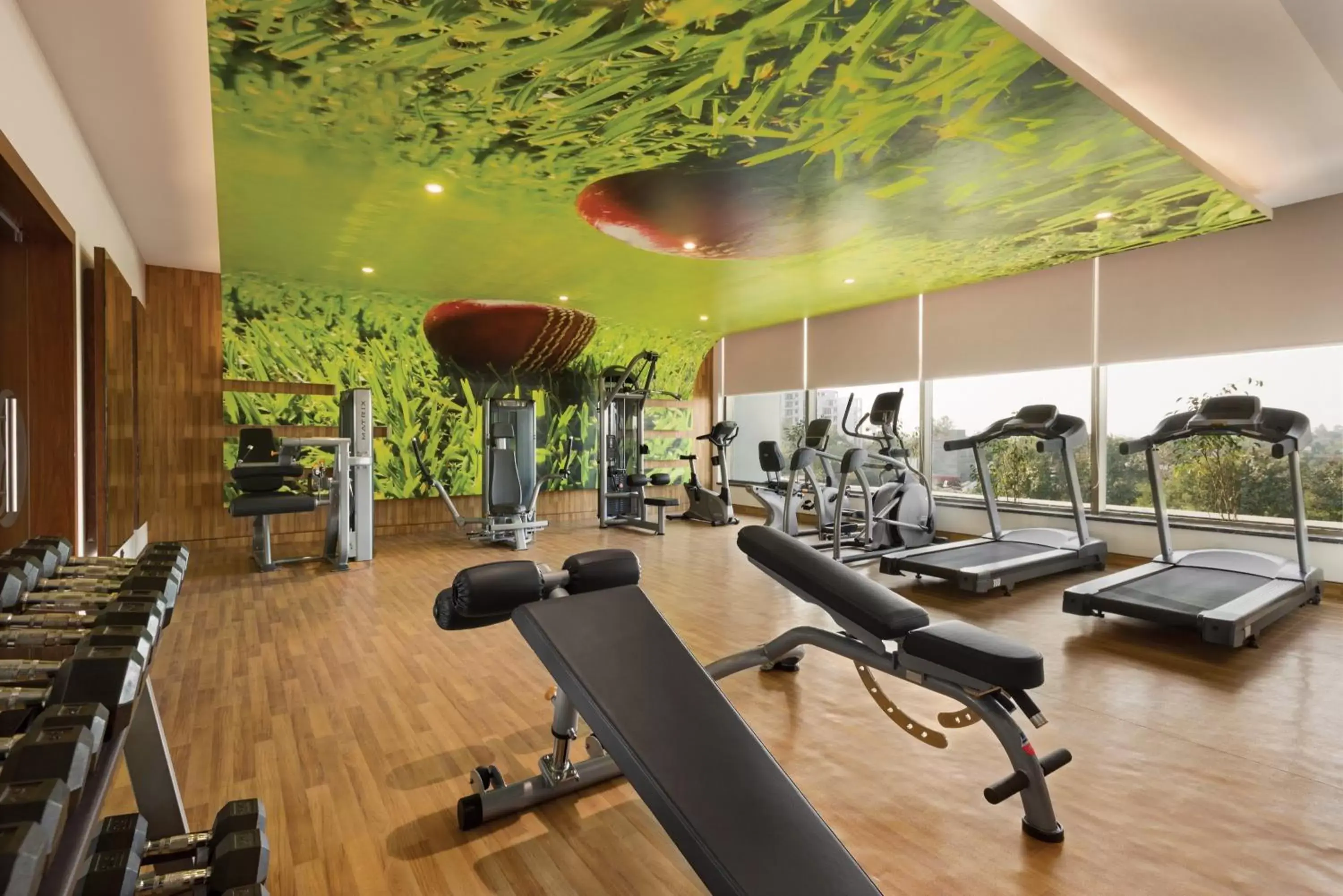 Fitness centre/facilities, Fitness Center/Facilities in Ramada Plaza By Wyndham Agra