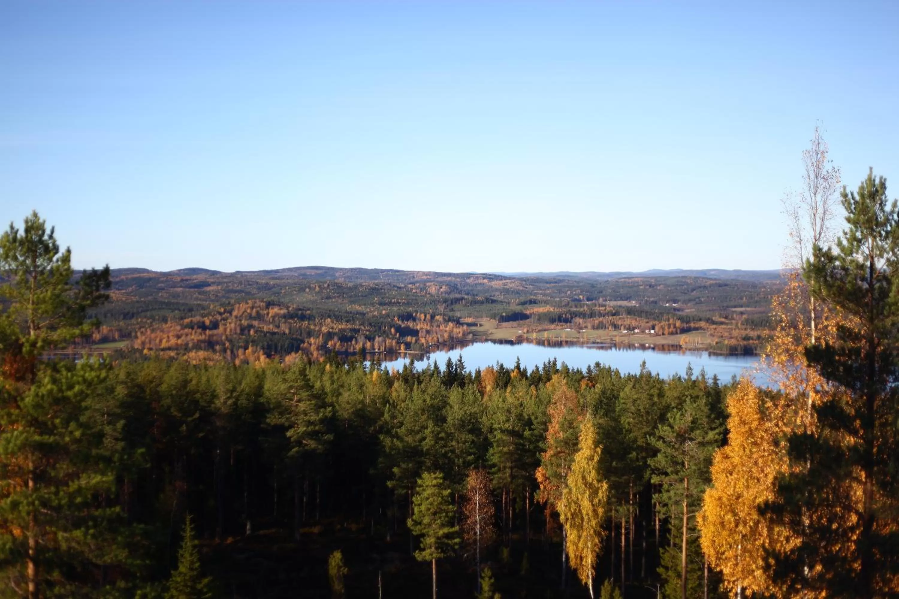 Spring in Nyhyttans Kurort