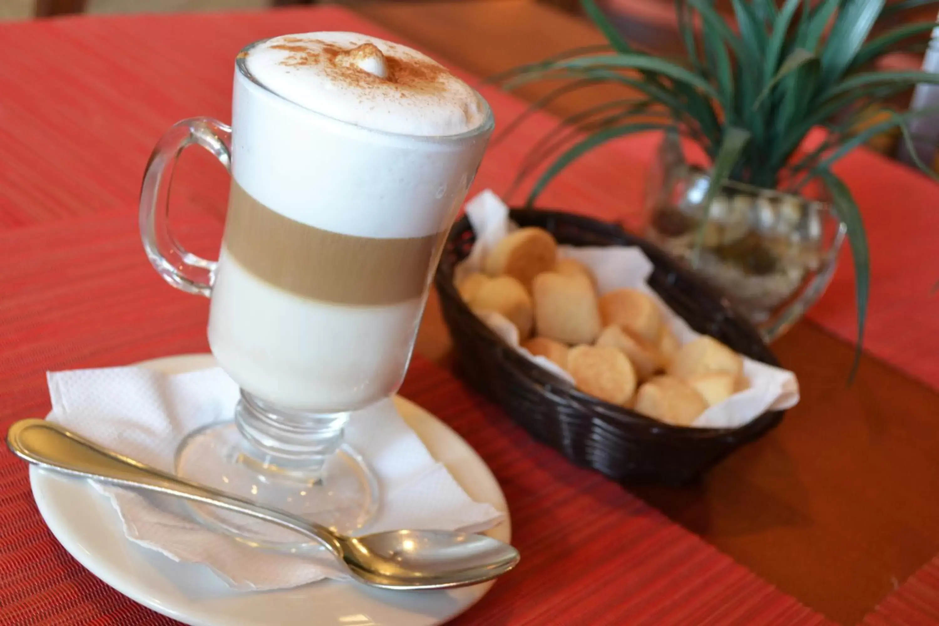 Food and drinks in Best Western PLUS Los Mochis Food and drinks in Best Western PLUS Los Mochis