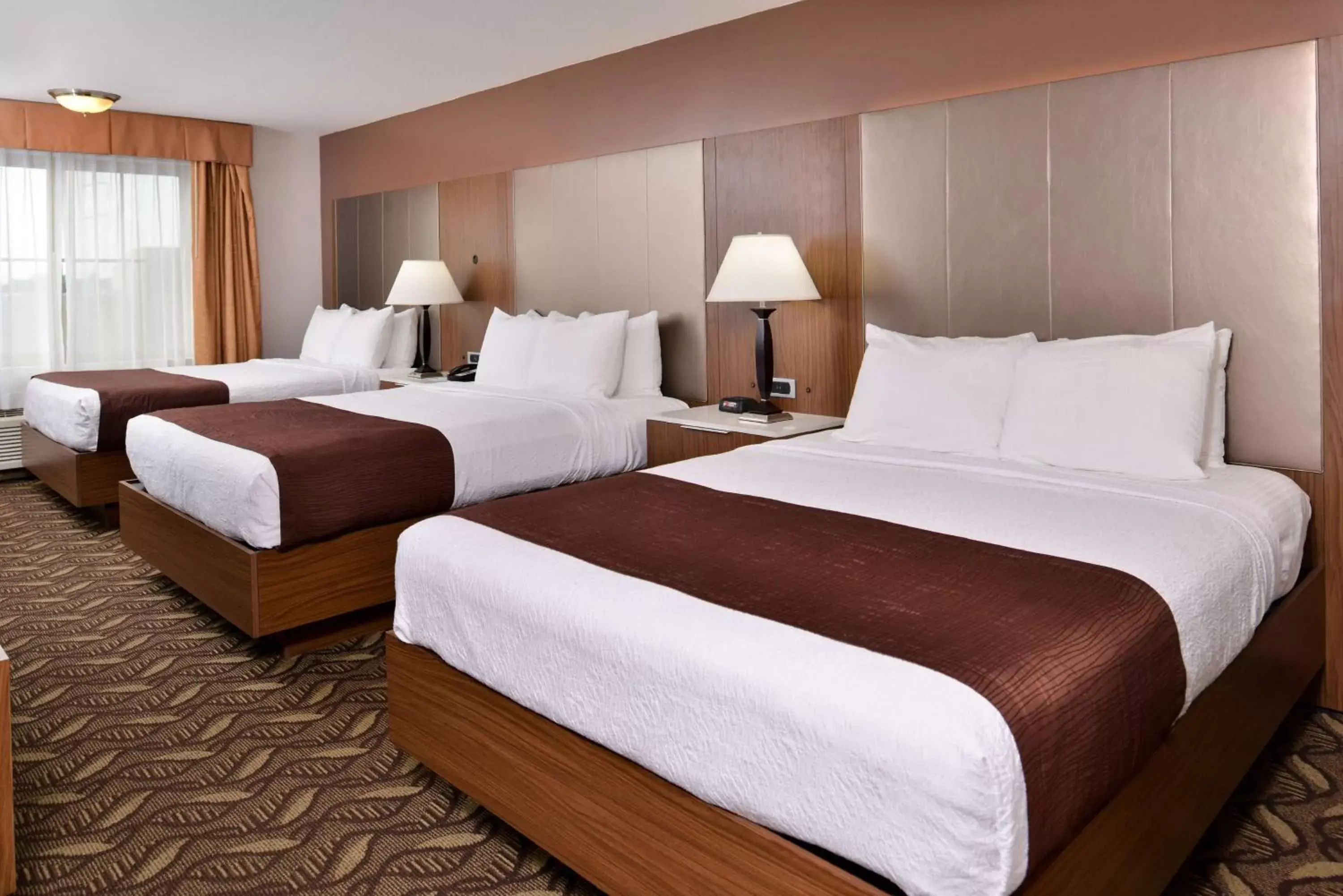 Photo of the whole room, Bed in Best Western Airport Plaza Inn Hotel - Los Angeles LAX