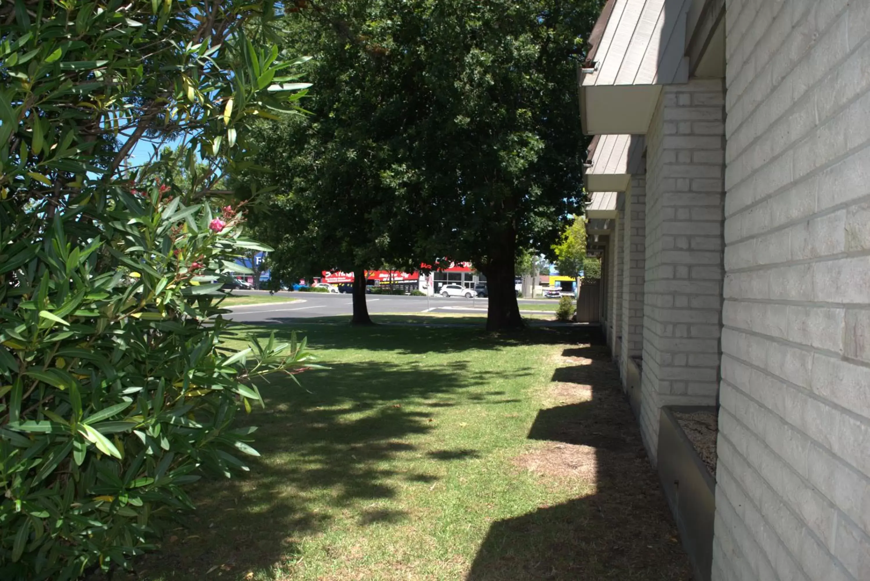 Garden in City Gardens Motel