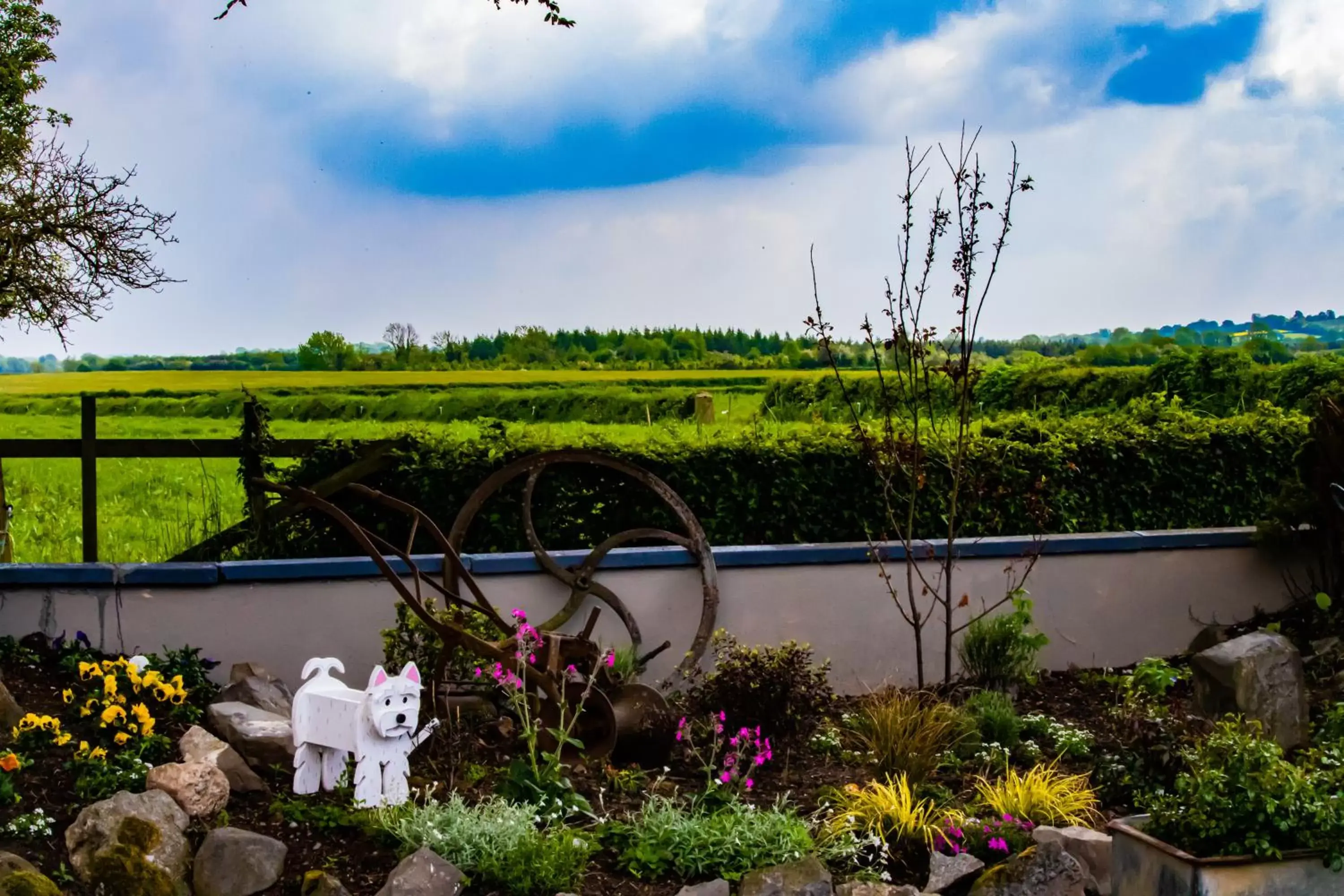 Garden in The Ring Farmhouse