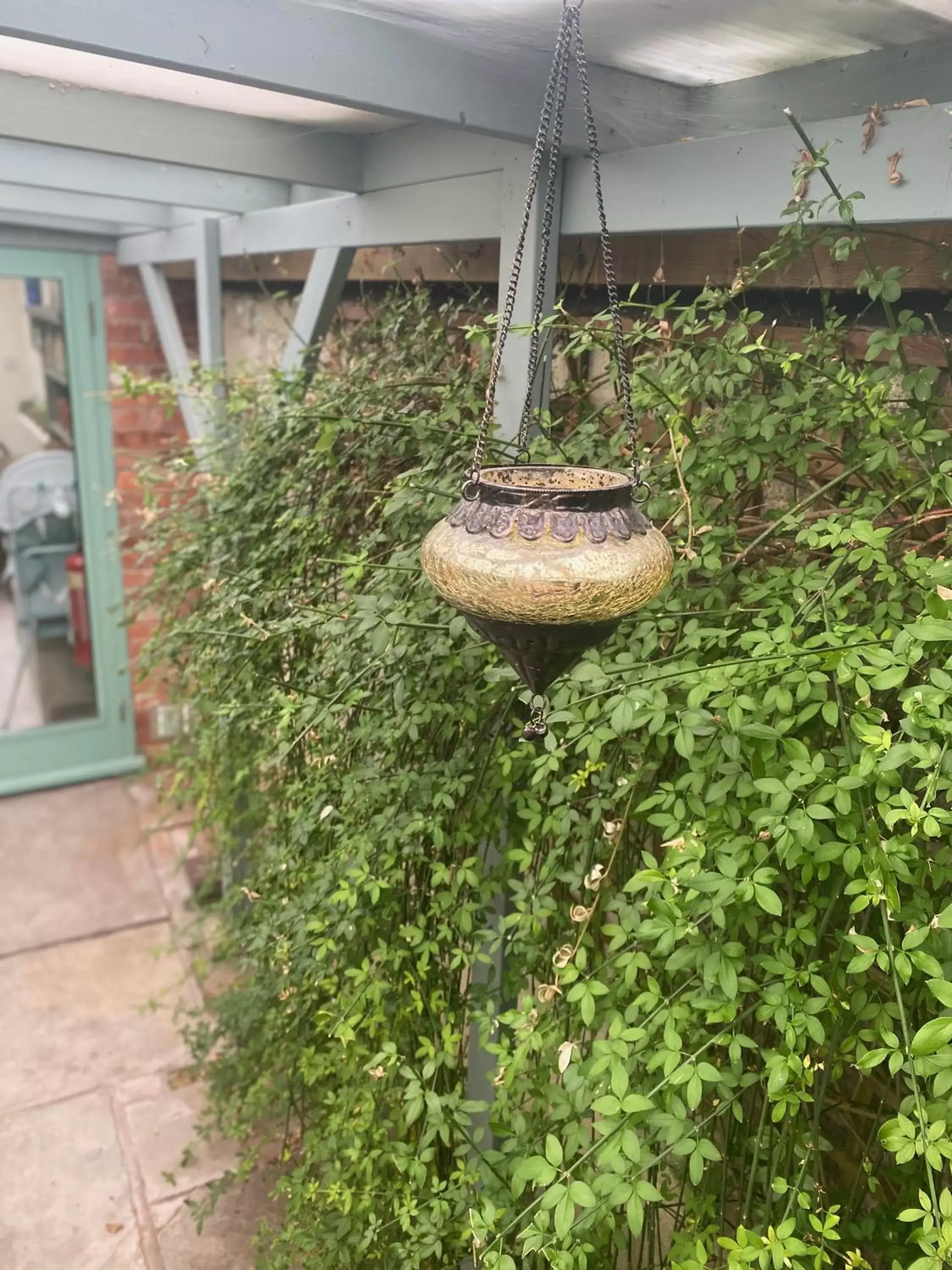 Garden in The Dragonfly BNB, Glastonbury