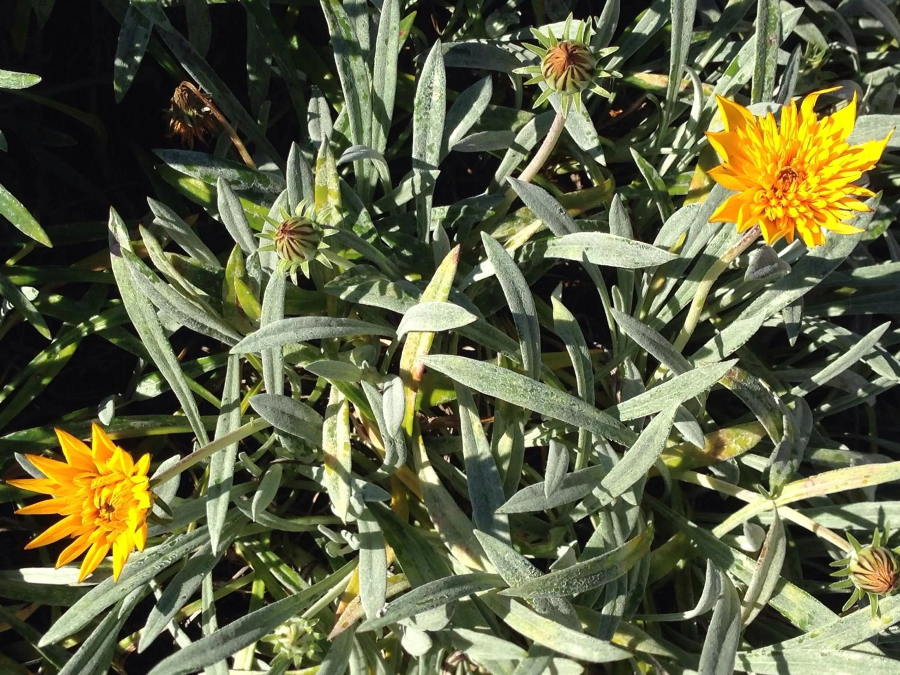 Other in Teviot View Accommodation