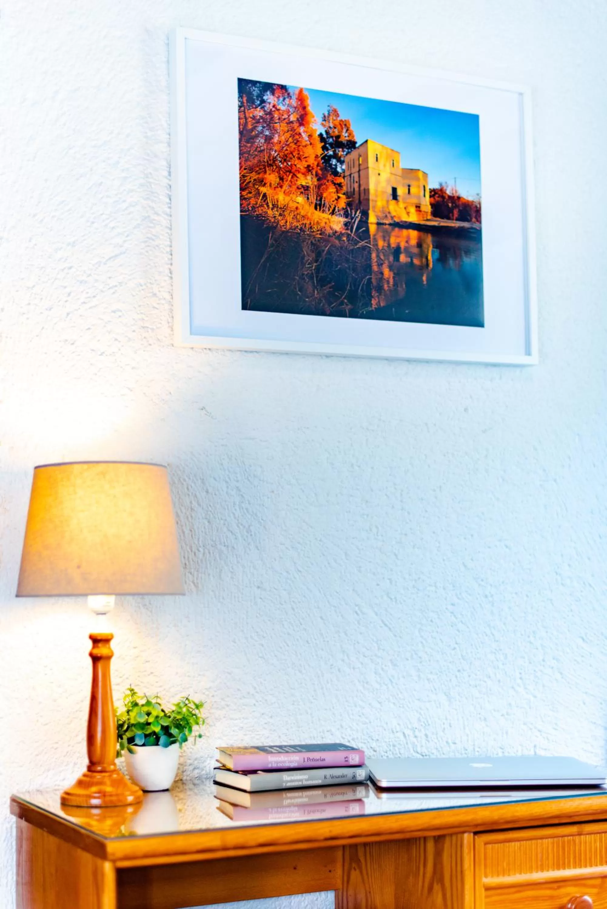 Decorative detail in Hotel Eden Mar