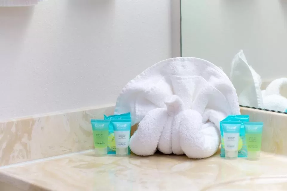 Bathroom in High Country Suites