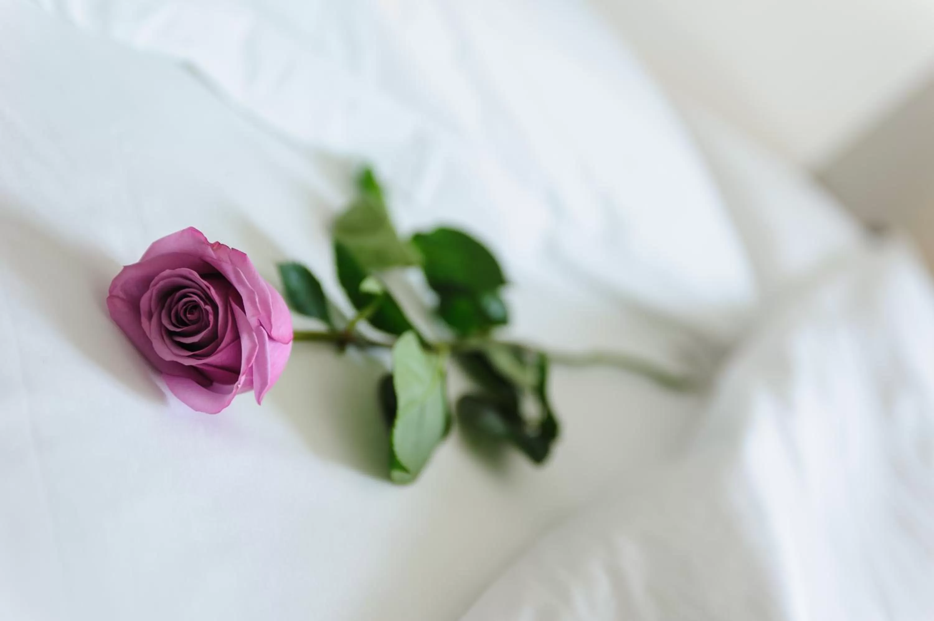 Decorative detail, Bed in Hotel Cristallo