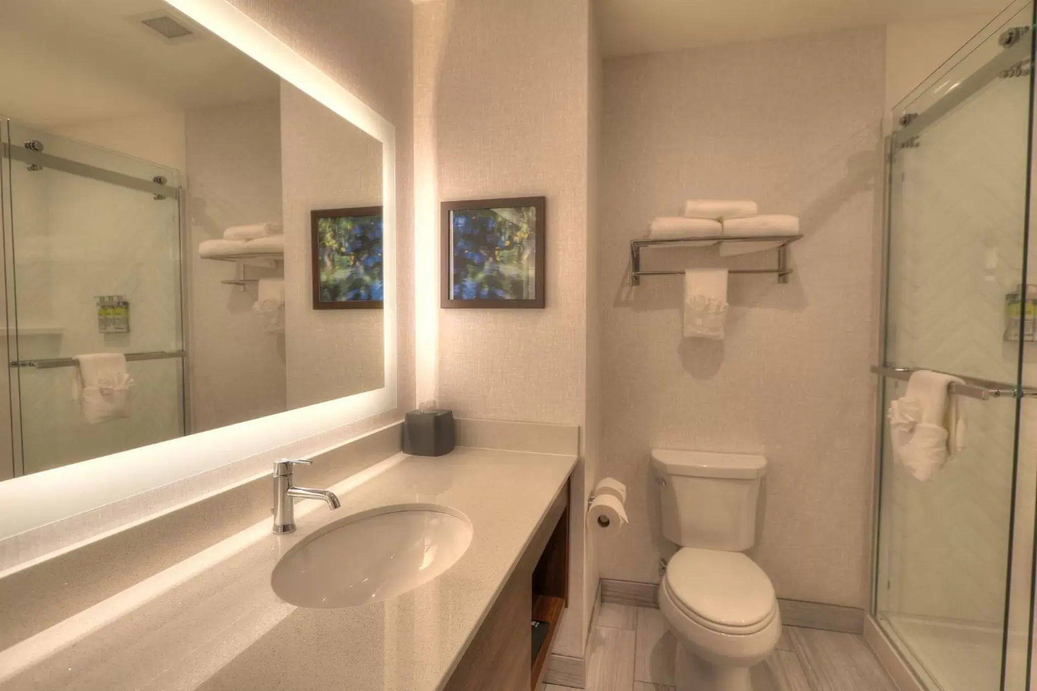 King Room Mobility Accessible with Roll-In Shower - Non-Smoking in Holiday Inn & Suites Pigeon Forge Convention Center by IHG King Room Mobility Accessible with Roll-In Shower - Non-Smoking in Holiday Inn & Suites Pigeon Forge Convention Center by IHG