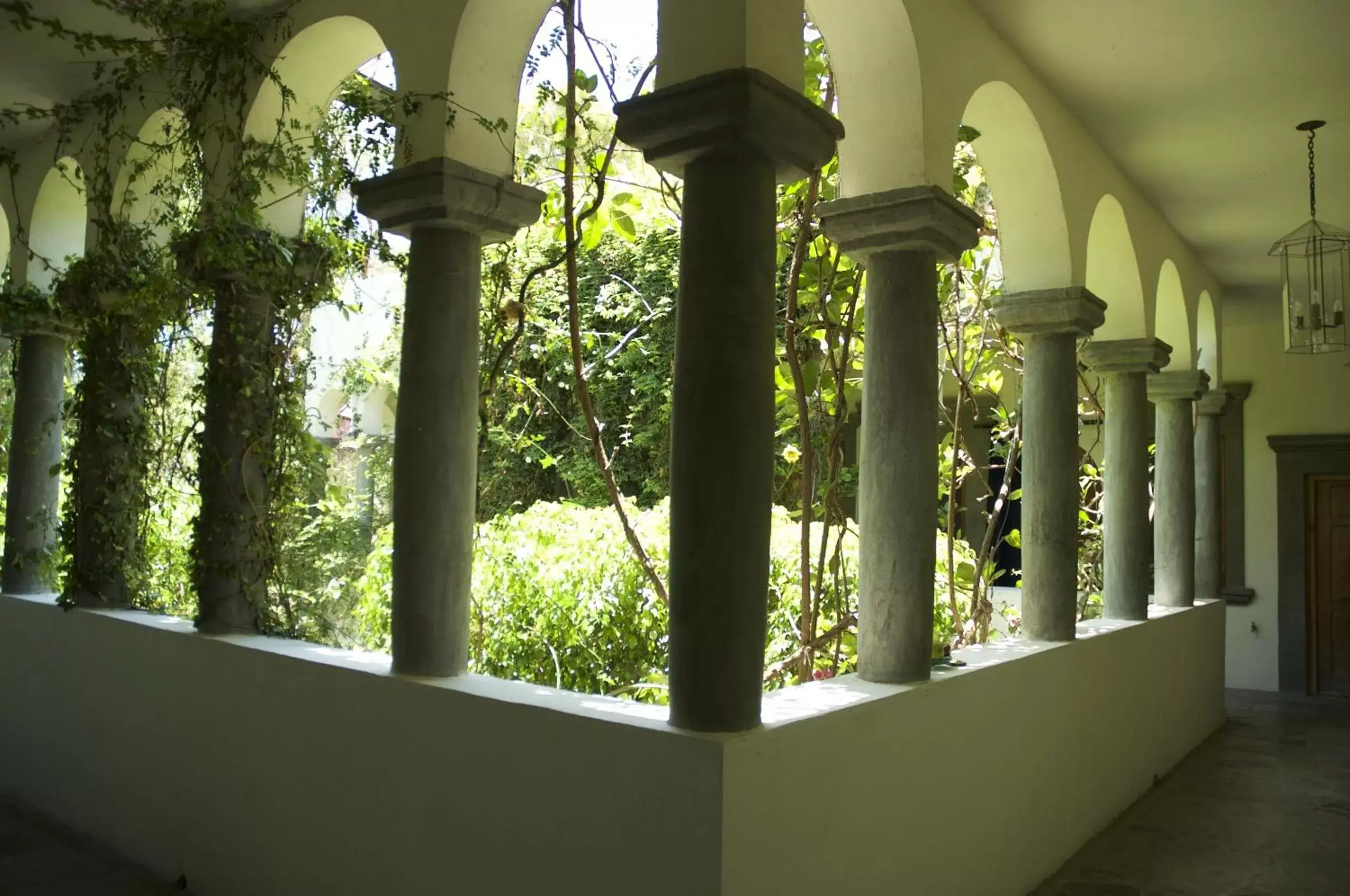 Garden view in Casa Mision de San Miguel