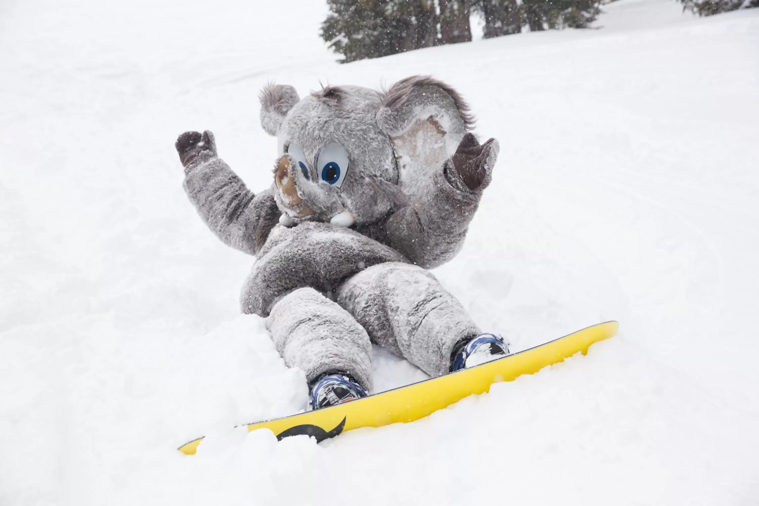 Winter in Mammoth Mountain Inn