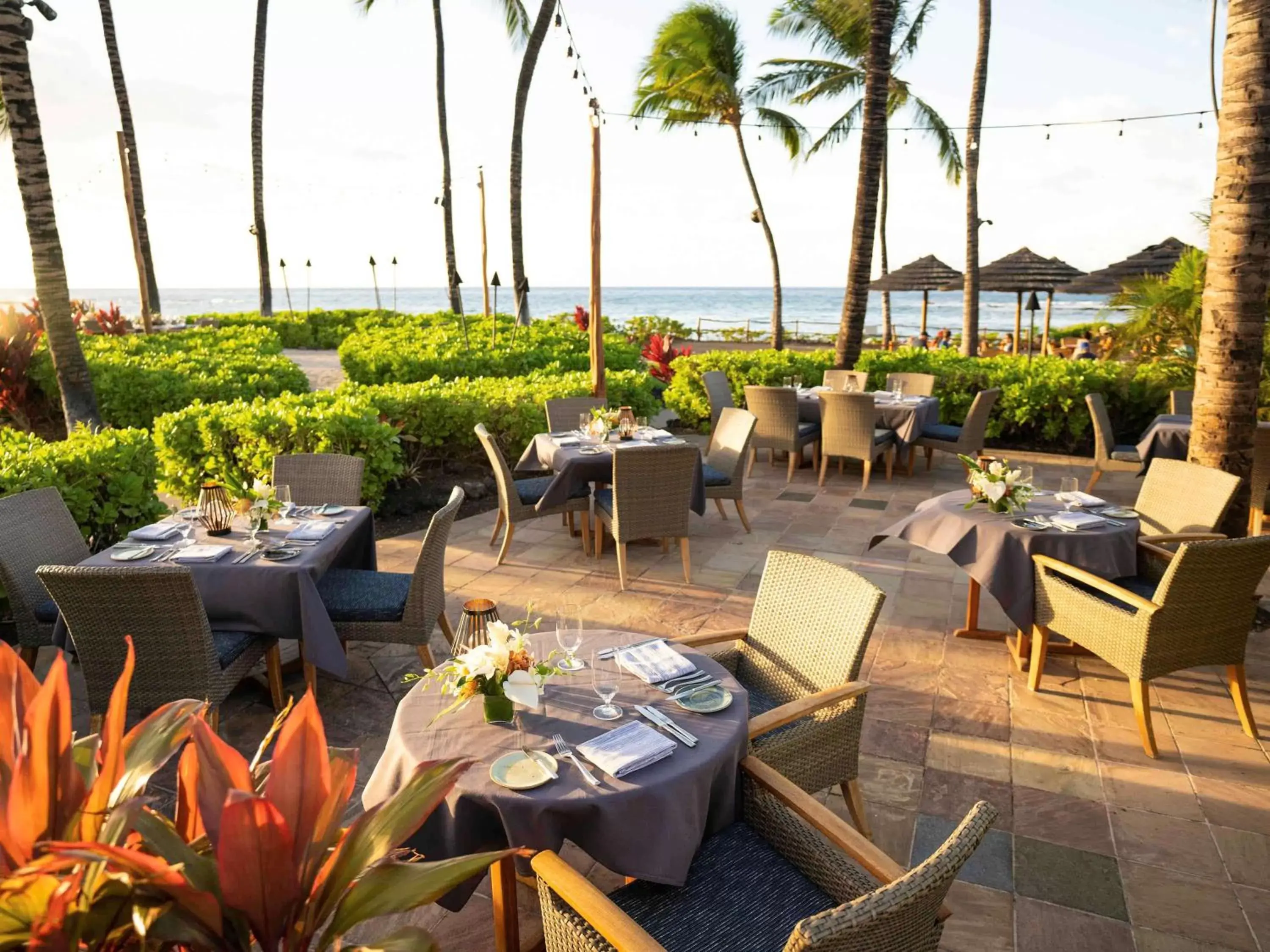 Restaurant/Places to Eat in Fairmont Orchid