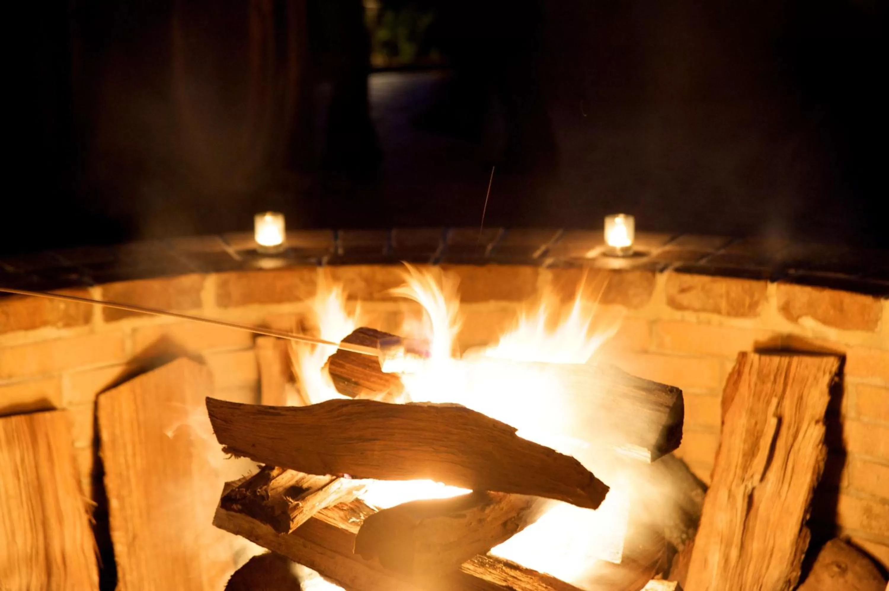 Natural landscape in Montage Palmetto Bluff