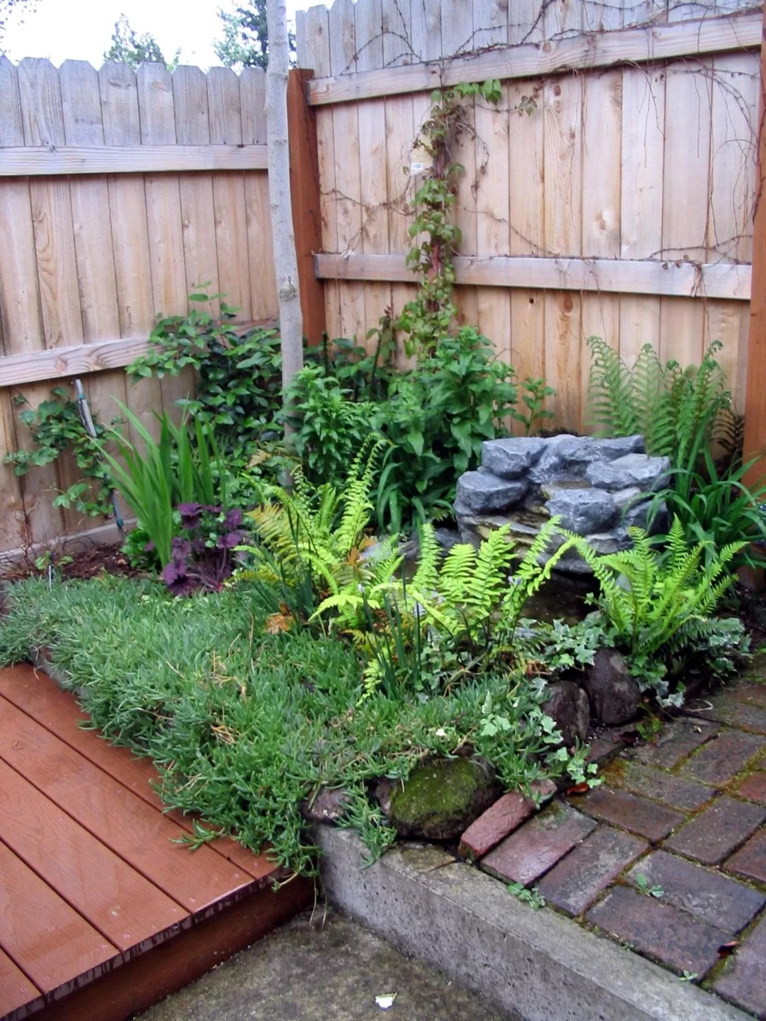 Day in Arden Forest Inn