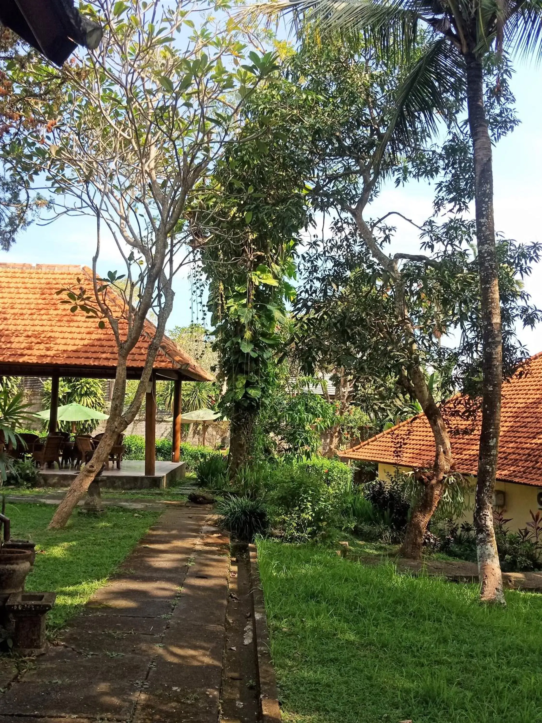 Garden in Argasoka Bungalows