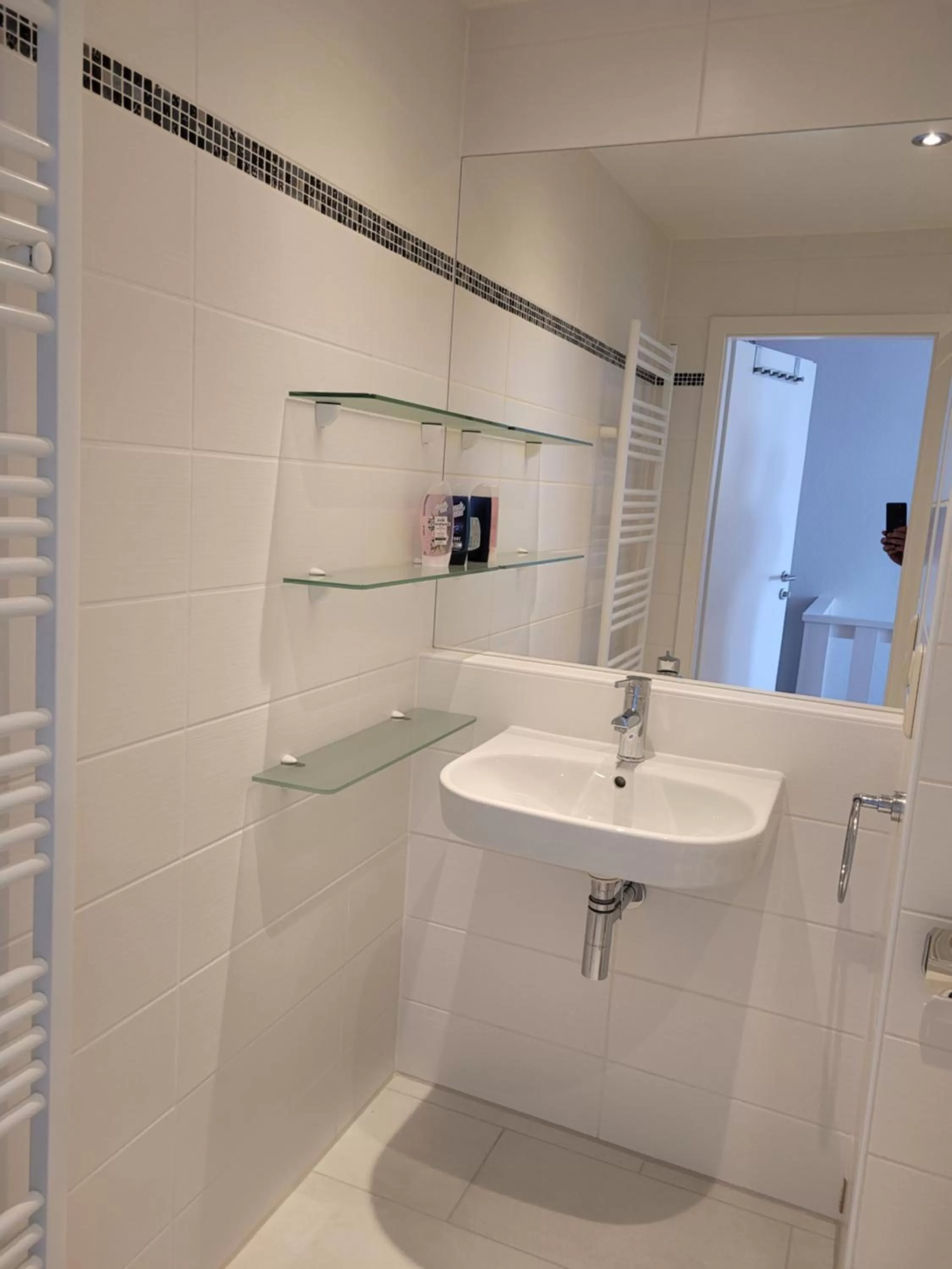 Bathroom in King Panorama mit Netflix