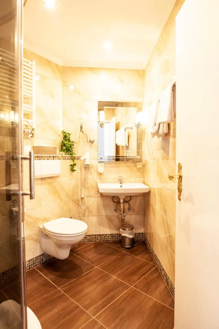 Toilet in Hotel Silesia