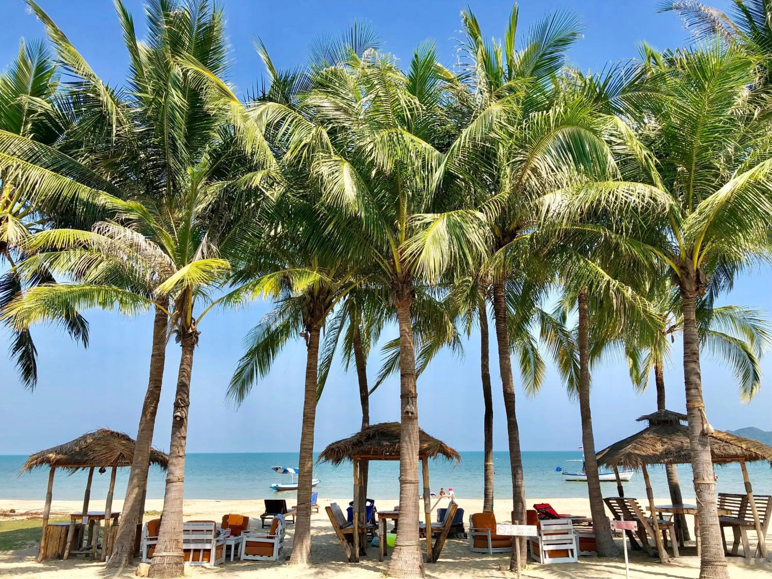 Beach in Dolphin Bay Beach Resort