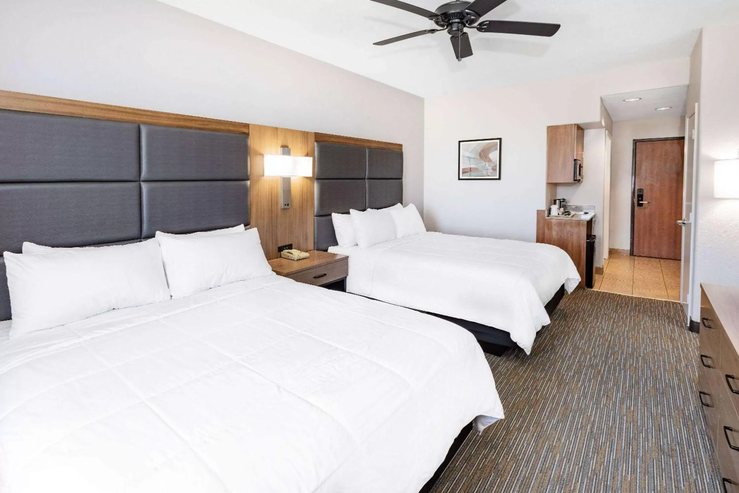Photo of the whole room, Bed in Wingate by Wyndham Houston Bush Intercontinental Airport