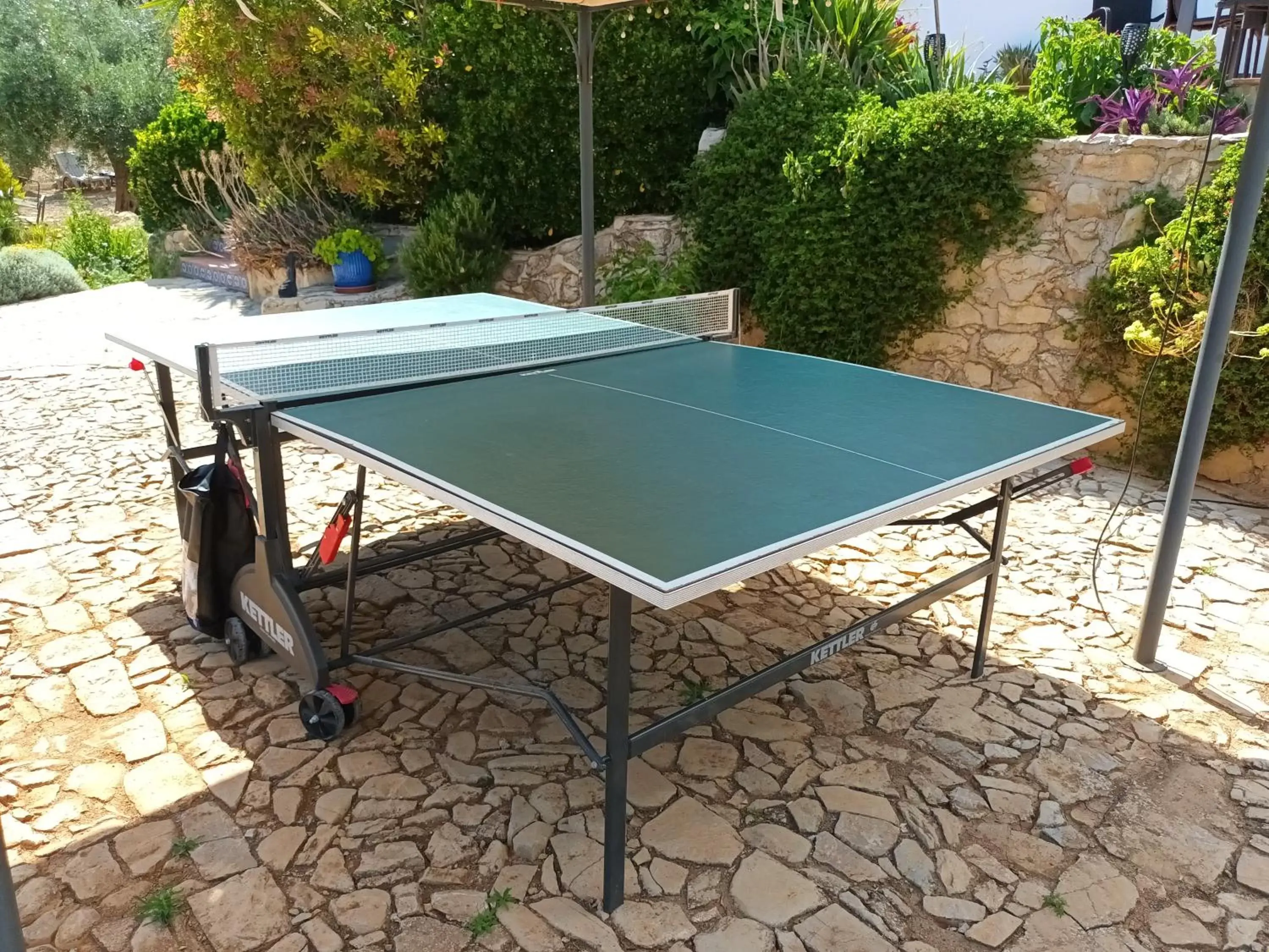 Table Tennis in Hacienda la buena vida B&B en appartementen